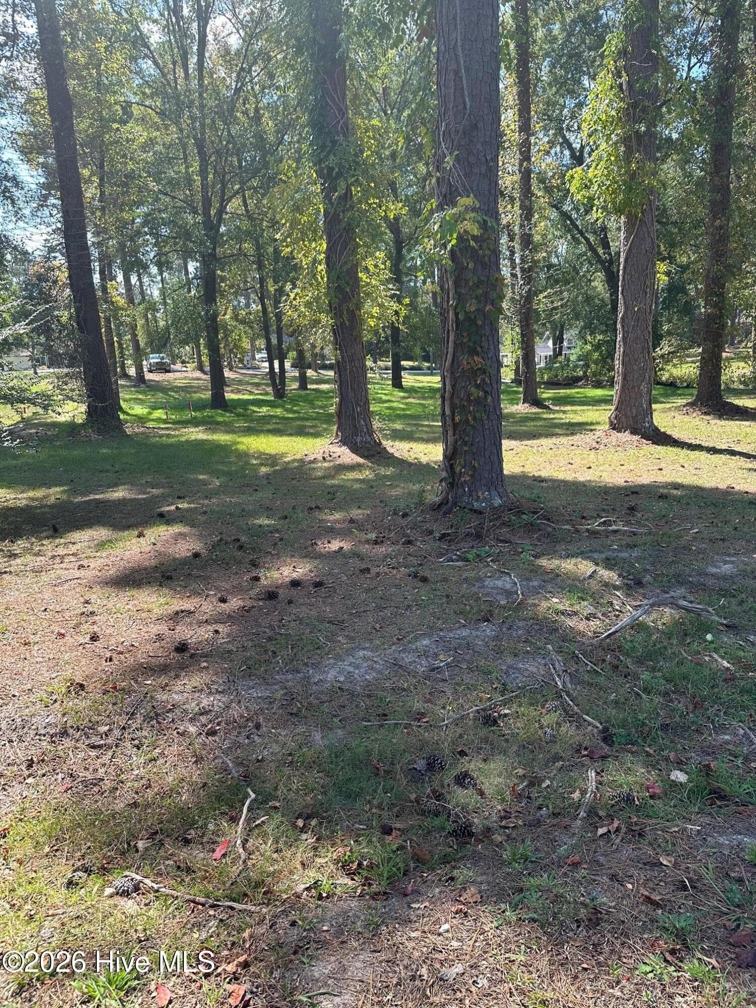 Residential Lot at 293 NW South Lake Drive, Thomson, GA 30824, photo 2 of 6