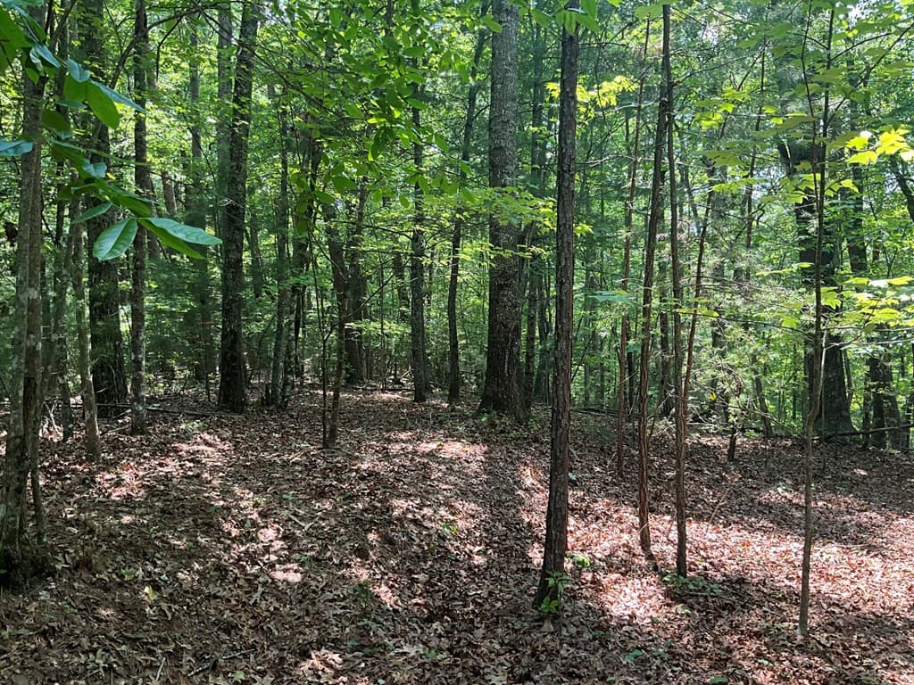 Land at 5 Birds View Lane, Murphy, NC 28906, photo 13 of 17