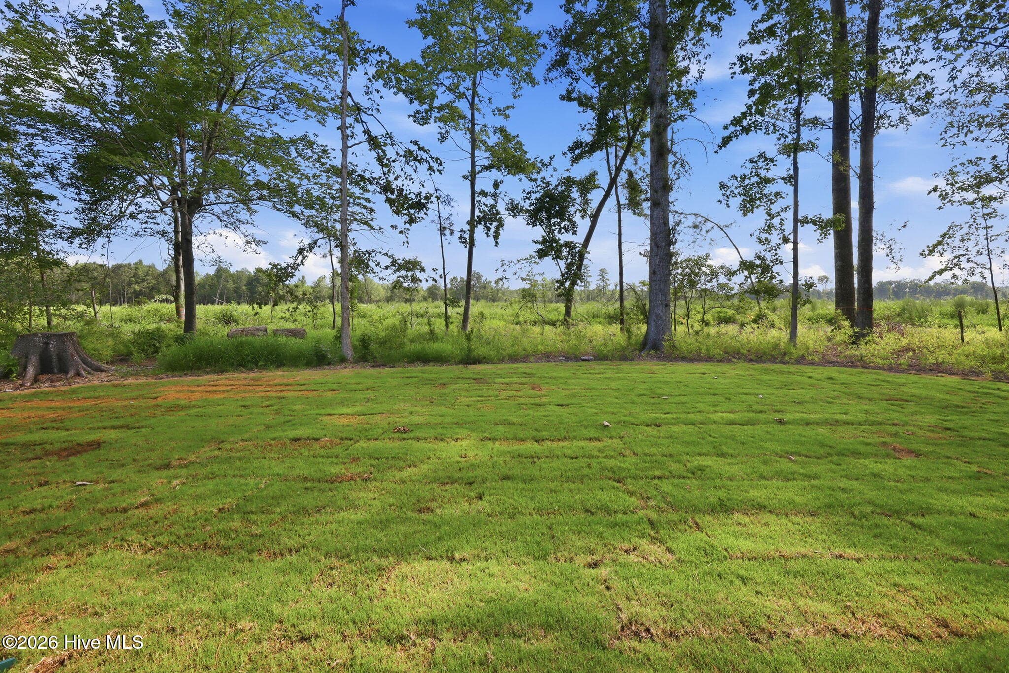 Single Family Residence at 1505 Macon Place, Tarboro, NC 27886, photo 45 of 56