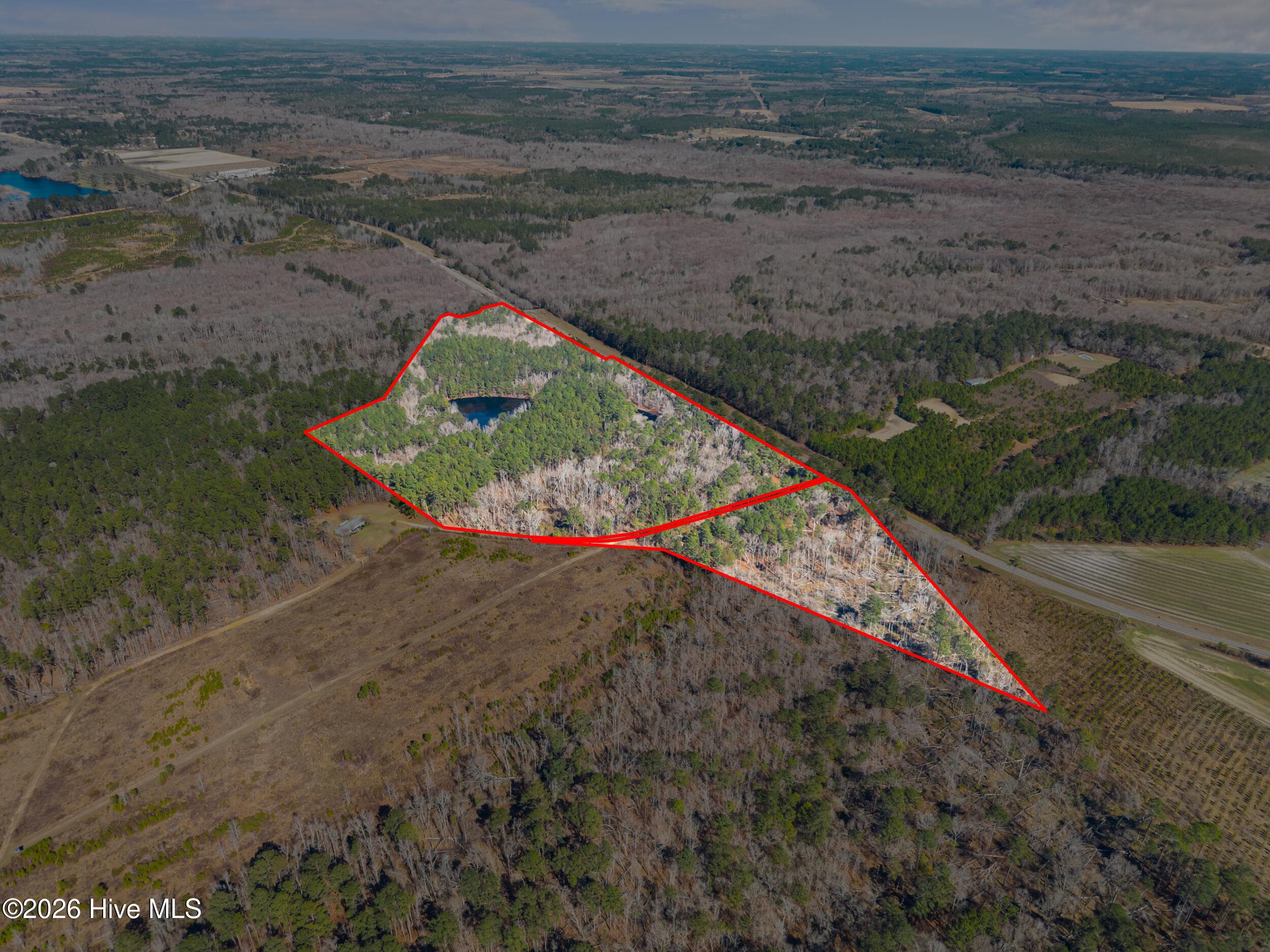 Undeveloped at 22701 Highway 129, Cobbtown, GA 30420, photo 2 of 10