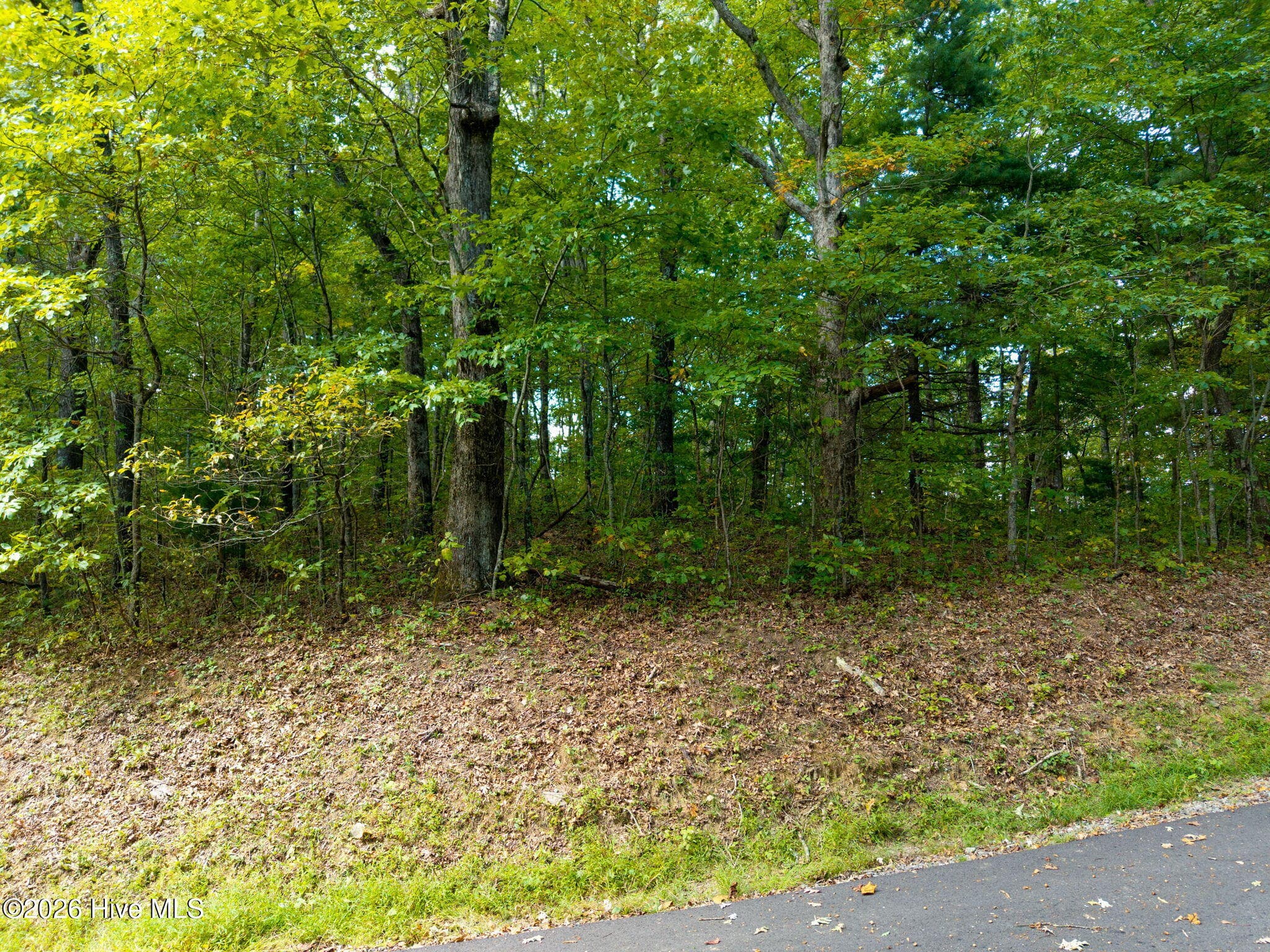 Residential Lot at Lot 2.07 Outlook Road, Murphy, NC 28906, photo 17 of 32