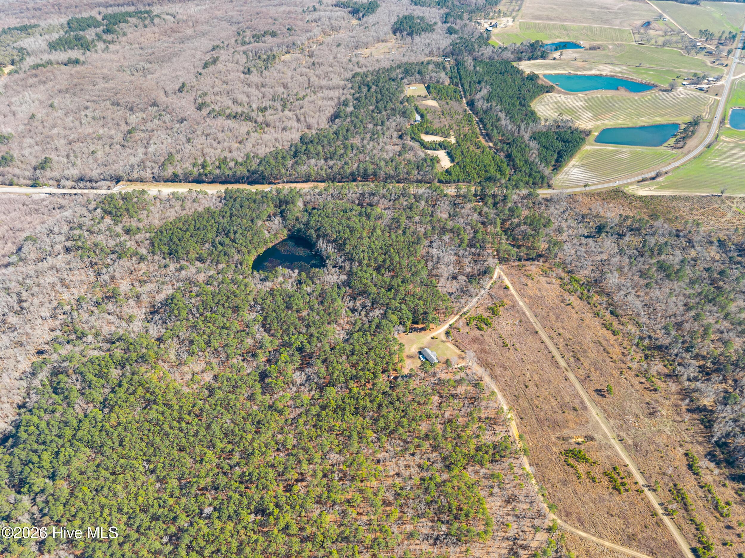 Undeveloped at 22701 Highway 129, Cobbtown, GA 30420, photo 4 of 10