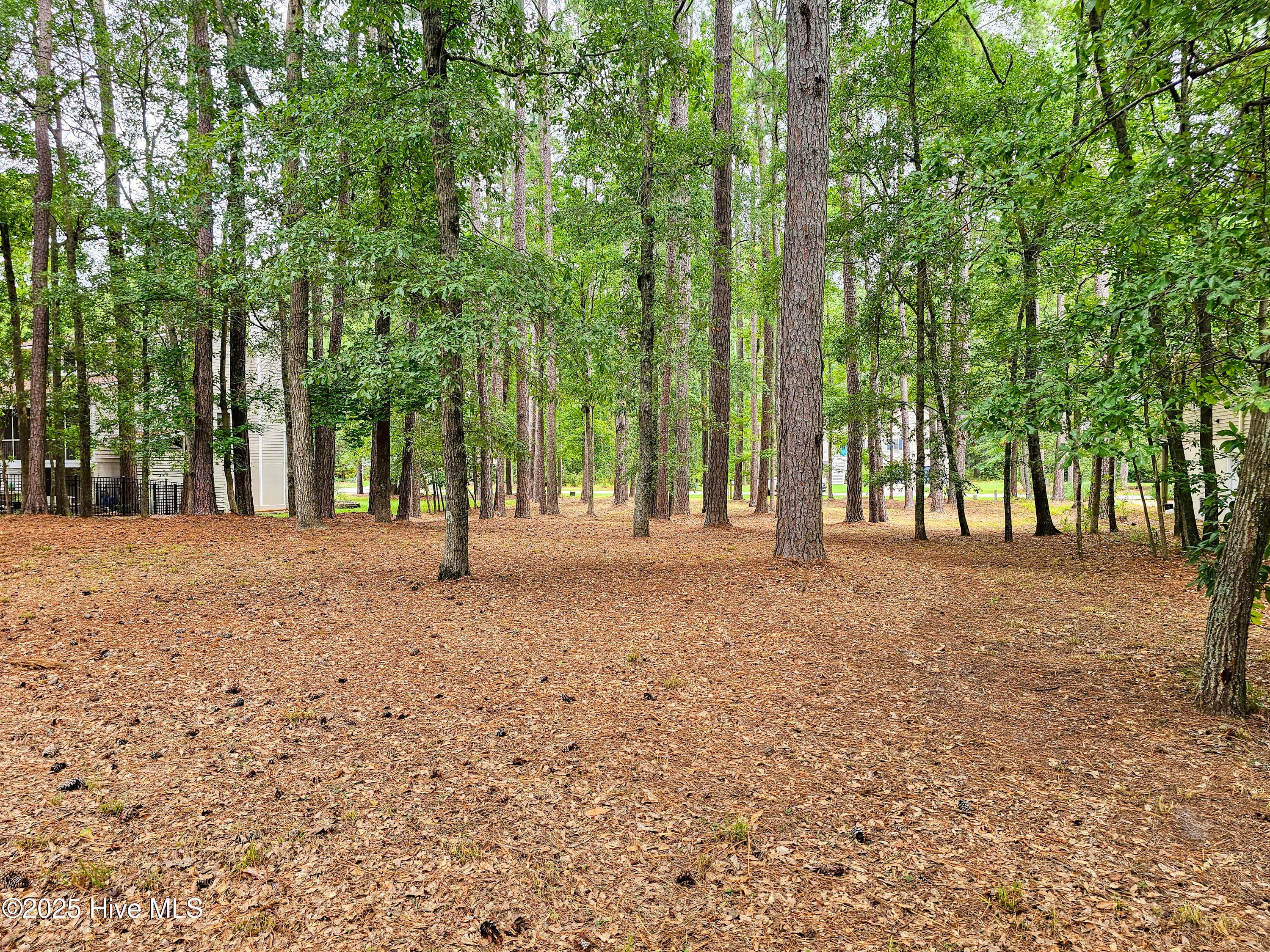 Residential Lot at 103 133 Greenbriar Lane, Washington, NC 27889, photo 3 of 24