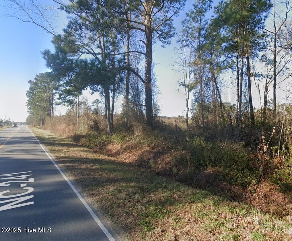 Commercial Sale at 111 241 Highway Lot 3, Beulaville, NC 28518, photo 4 of 5