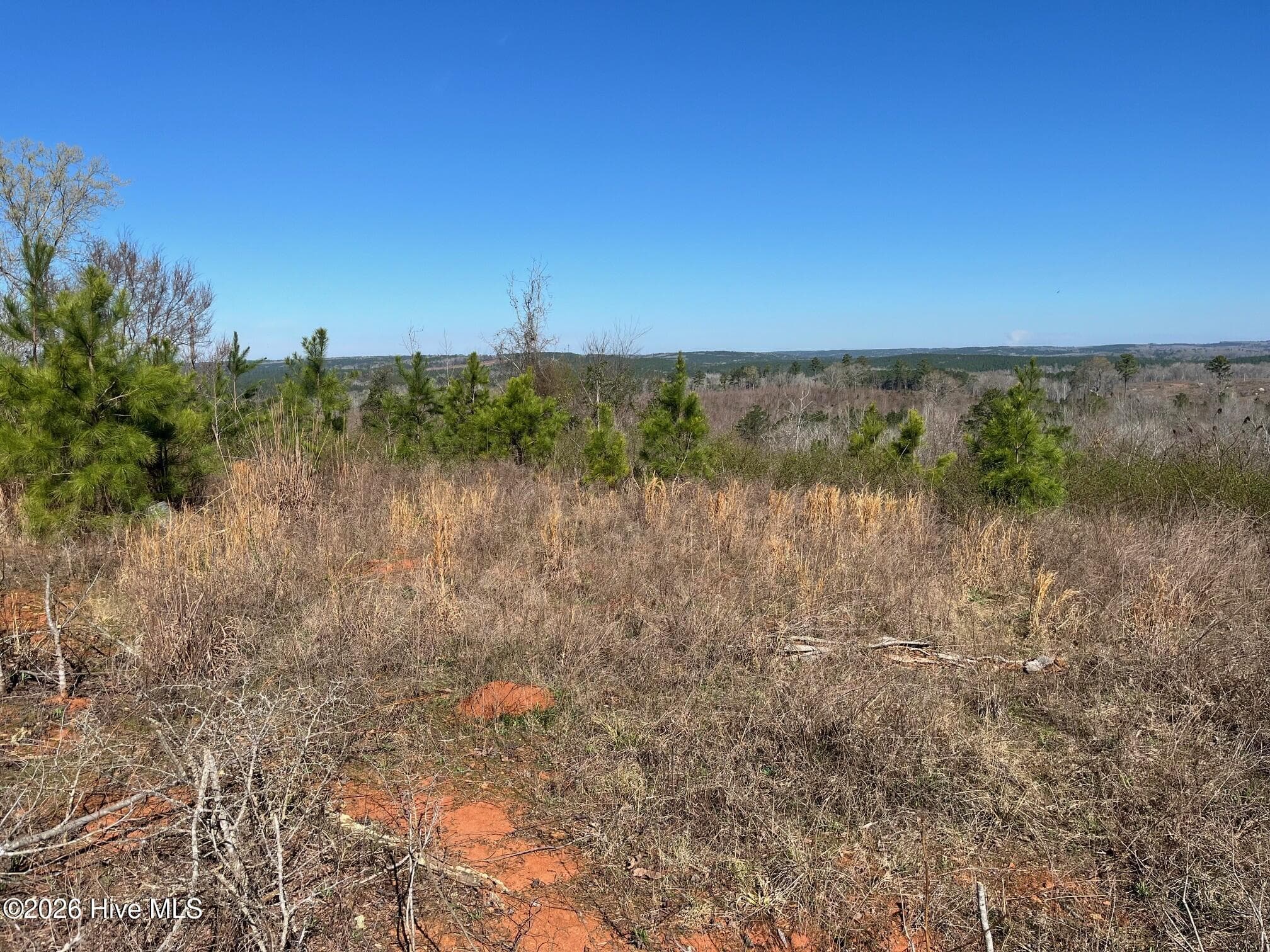 Undeveloped at 355.7 Horseshoe Road, Rockingham, NC 28379, photo 5 of 11