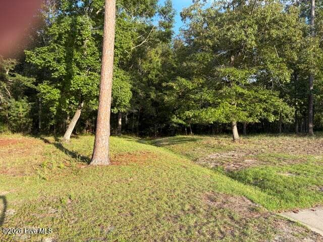1579 S2-19R Golden Marsh Court SE, Bolivia, NC 28422