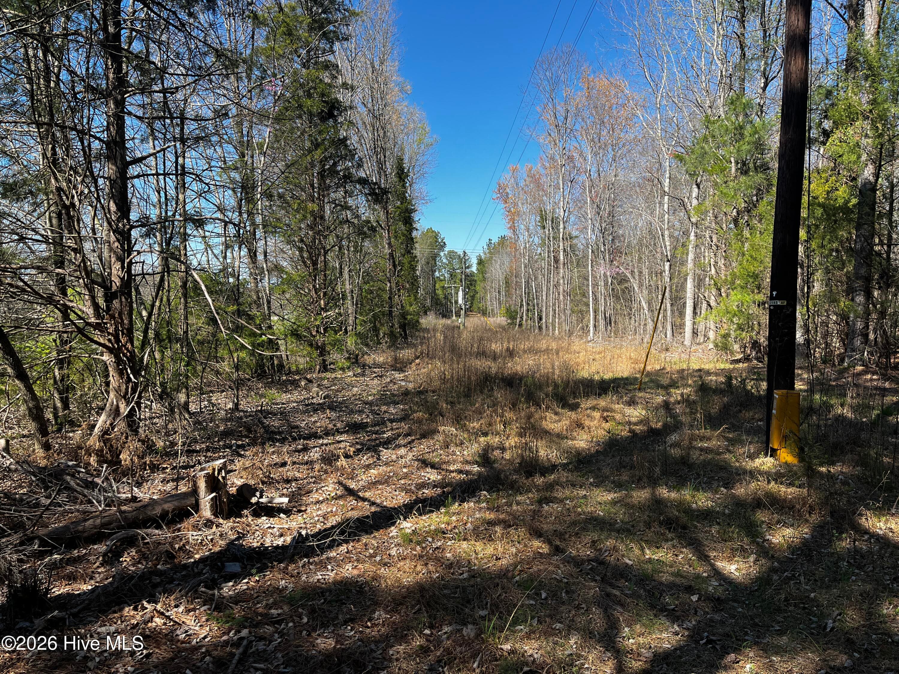 Undeveloped at 1030 Piney Grove Church Road, Siler City, NC 27344, photo 4 of 7