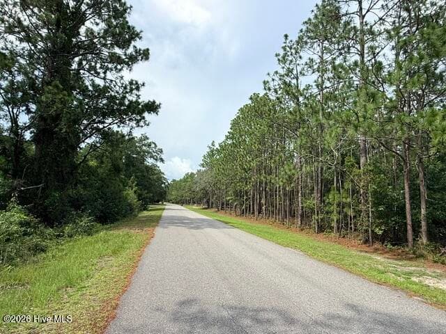 L-26 & 27 26/27 Eden Drive, Boiling Spring Lakes, NC 28461