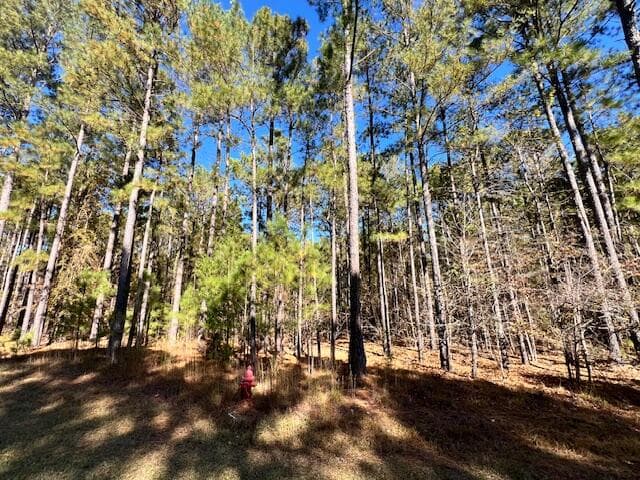 Residential Lot at 0 Mariners Way, Lincolnton, GA 30817, photo 4 of 4