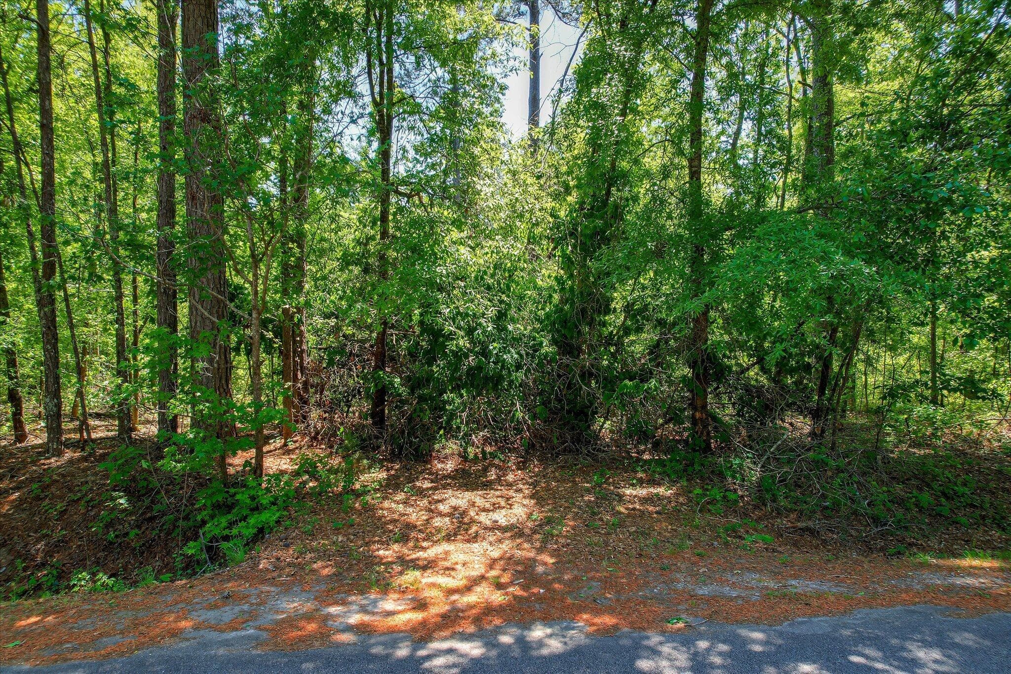 Undeveloped at 6340 Browns Road, Harlem, GA 30814, photo 2 of 8