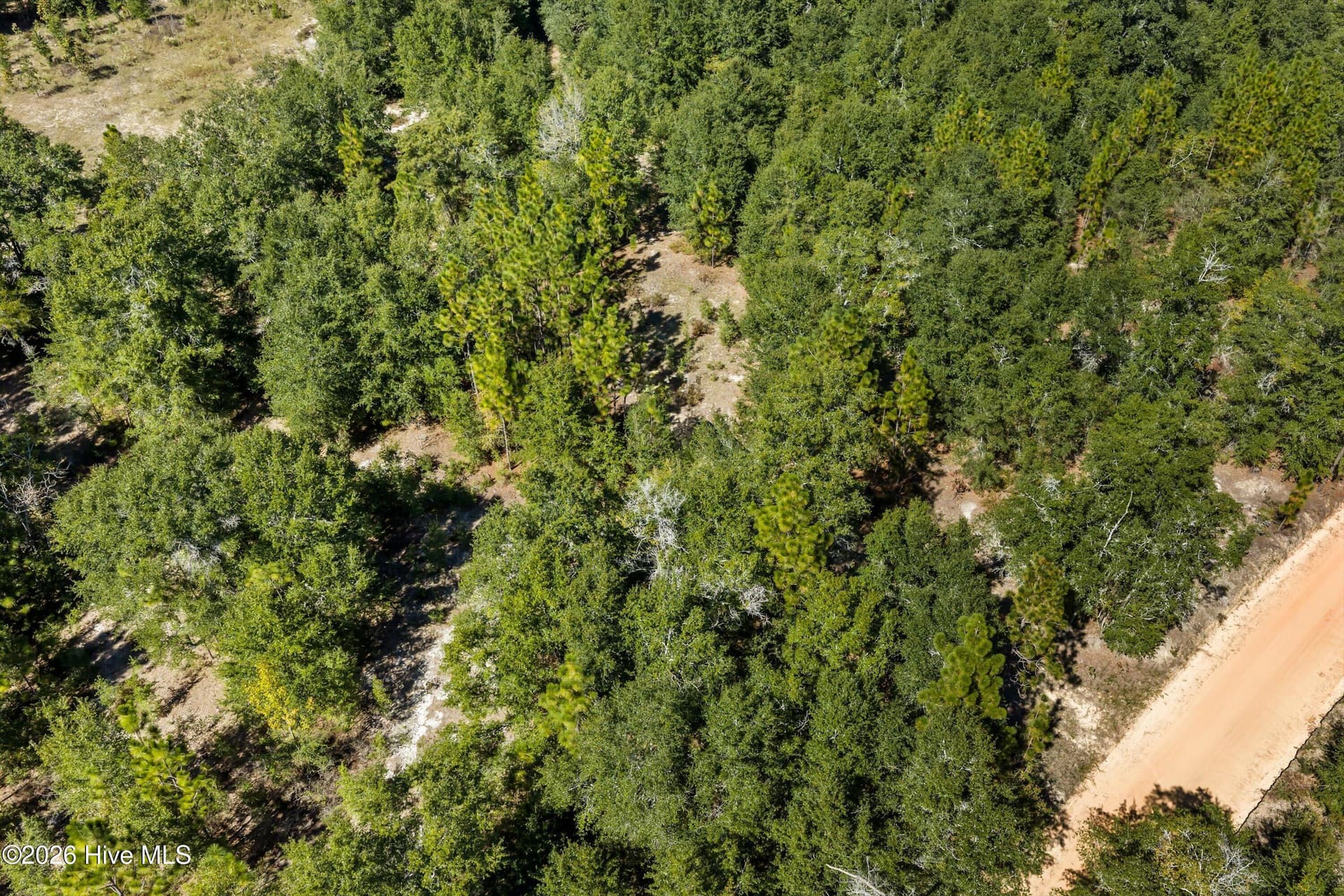 Residential Lot at 000.0 Mary Rawls Road, Wagener, SC 29164, photo 14 of 21