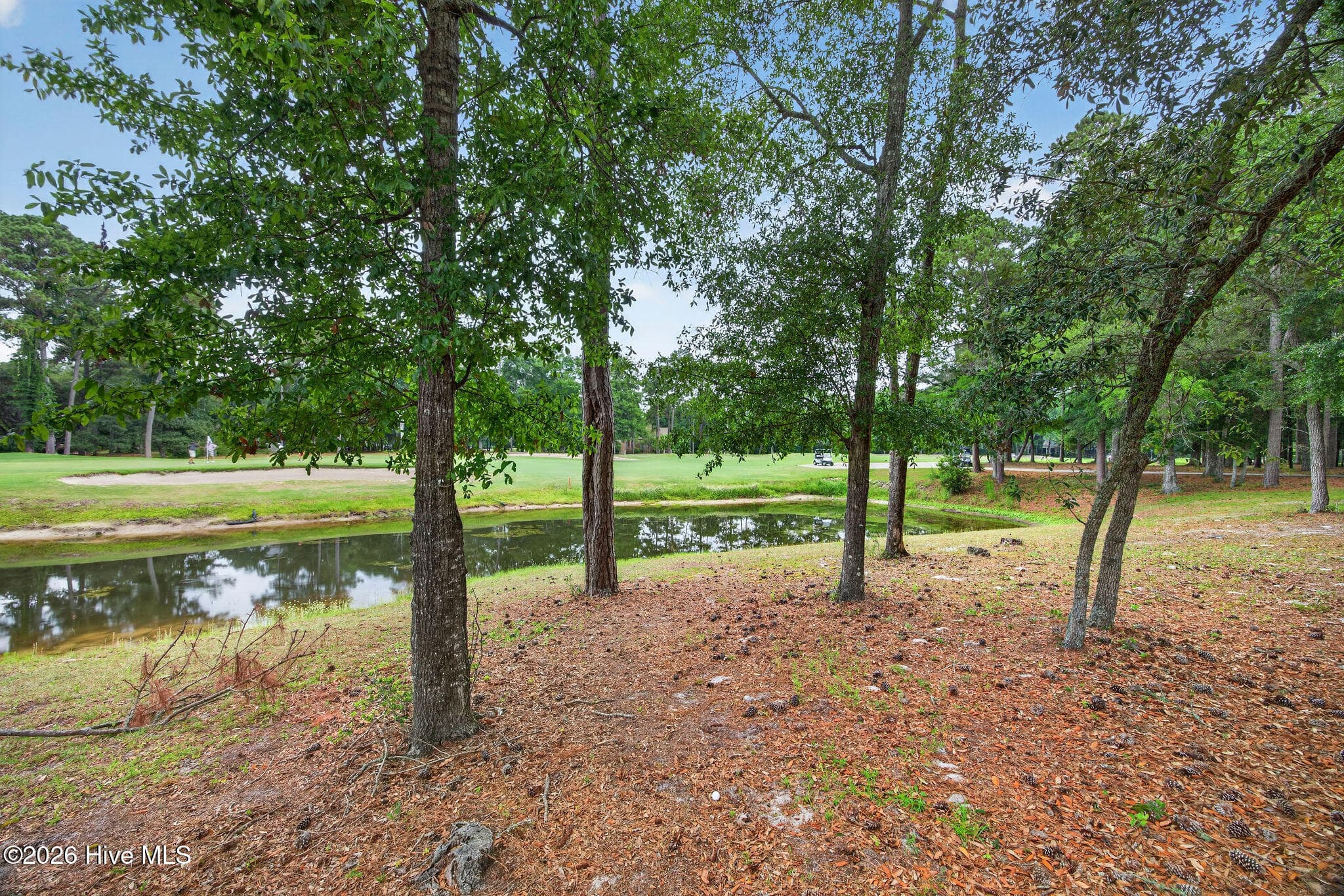 Residential Lot at 85 Marina Drive SW, Supply, NC 28462, photo 14 of 23