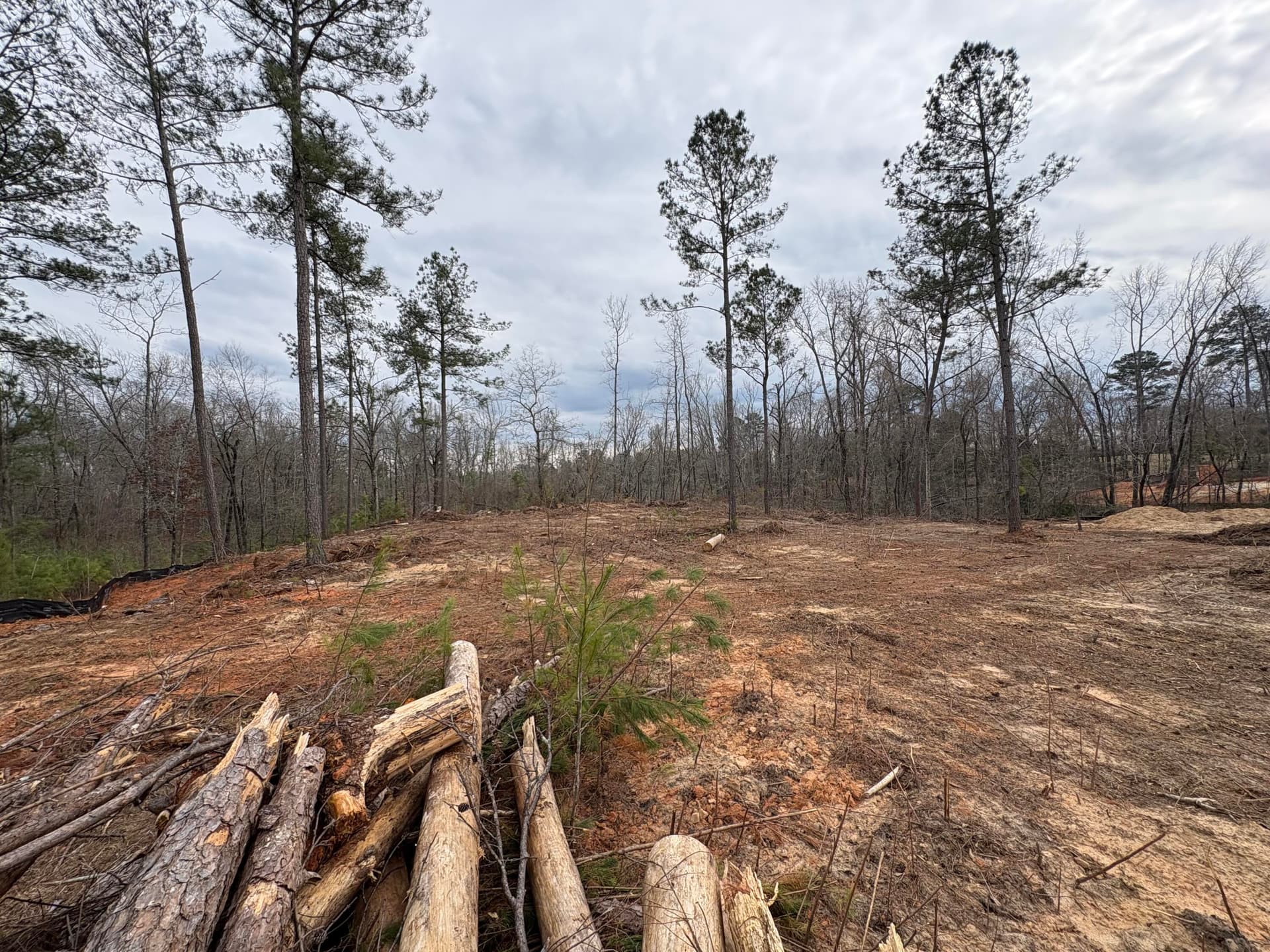Residential Lot at 5672 White Oak Road, Appling, GA 30802, photo 7 of 8