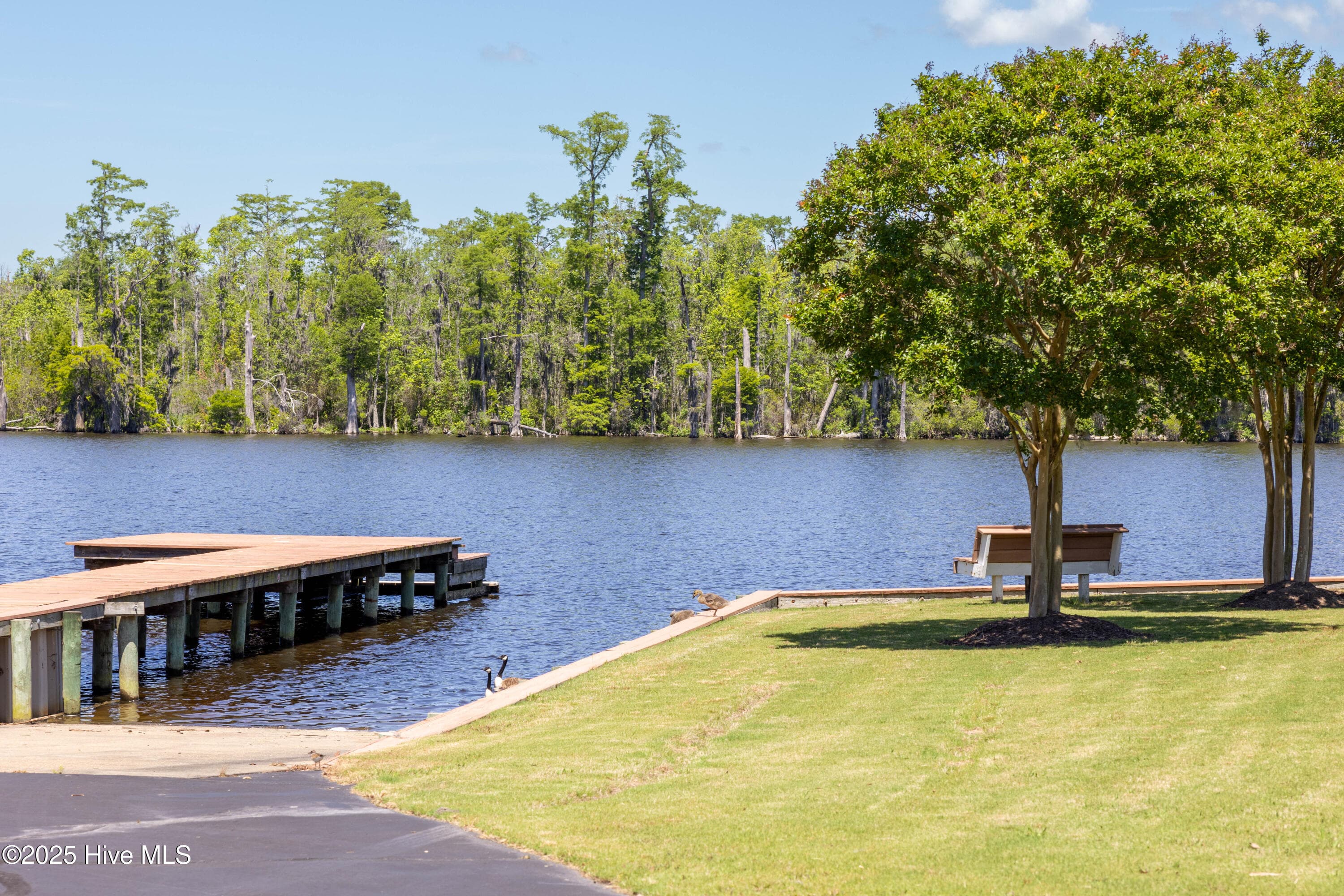 Residential Land at 175 143 Colleton Circle, Edenton, NC 27932, photo 10 of 13