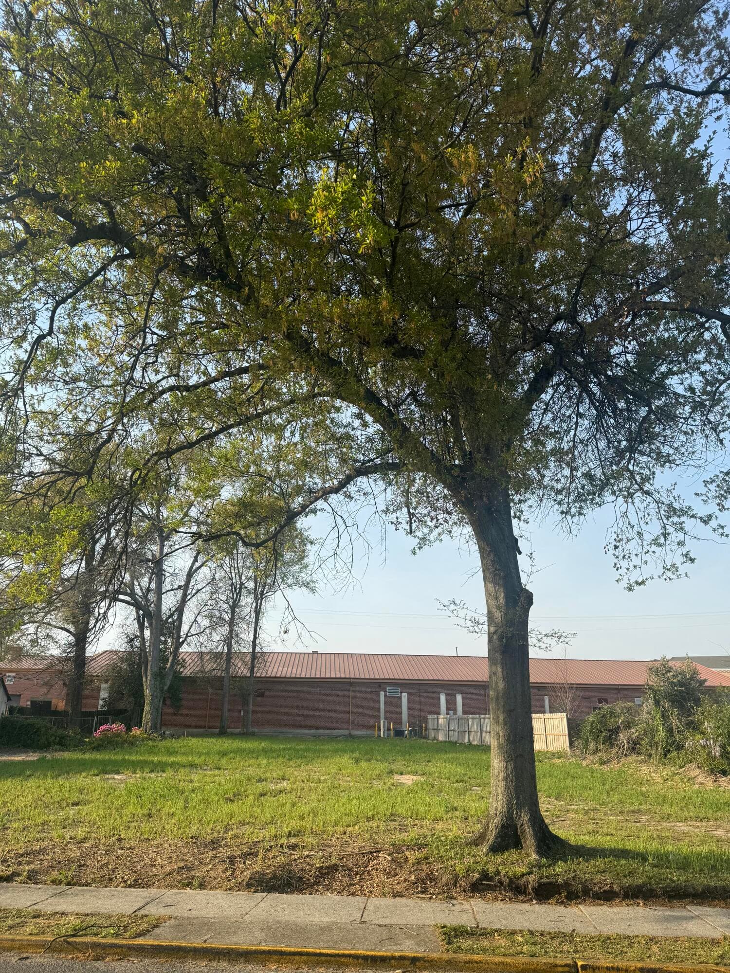 Residential Lot at 2471 Mcdowell Street, Augusta, GA 30904, photo 3 of 3