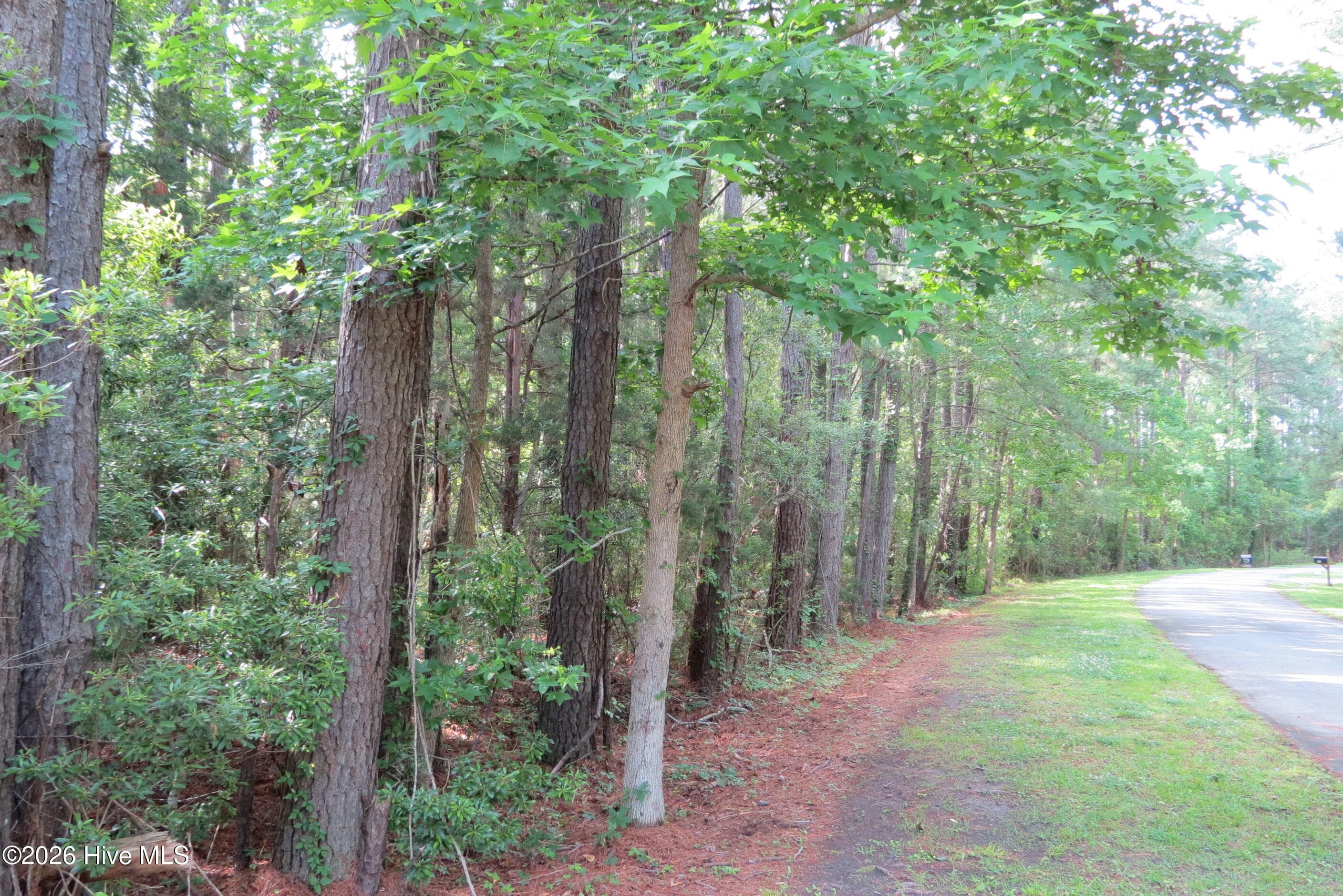 Residential Lot at 0 24 Teal Road, Merritt, NC 28556, photo 3 of 14