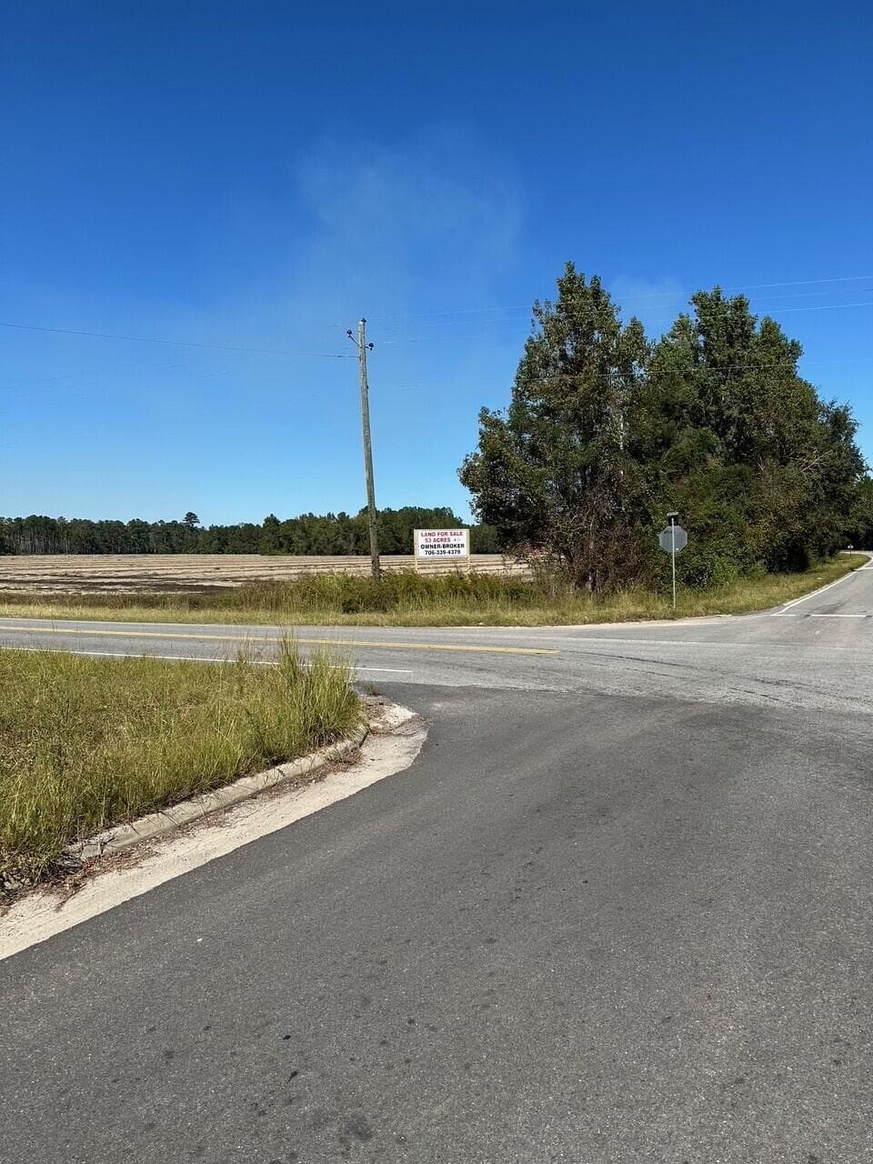 Undeveloped at 20945 Georgia 46, Pembroke, GA 31321, photo 3 of 12