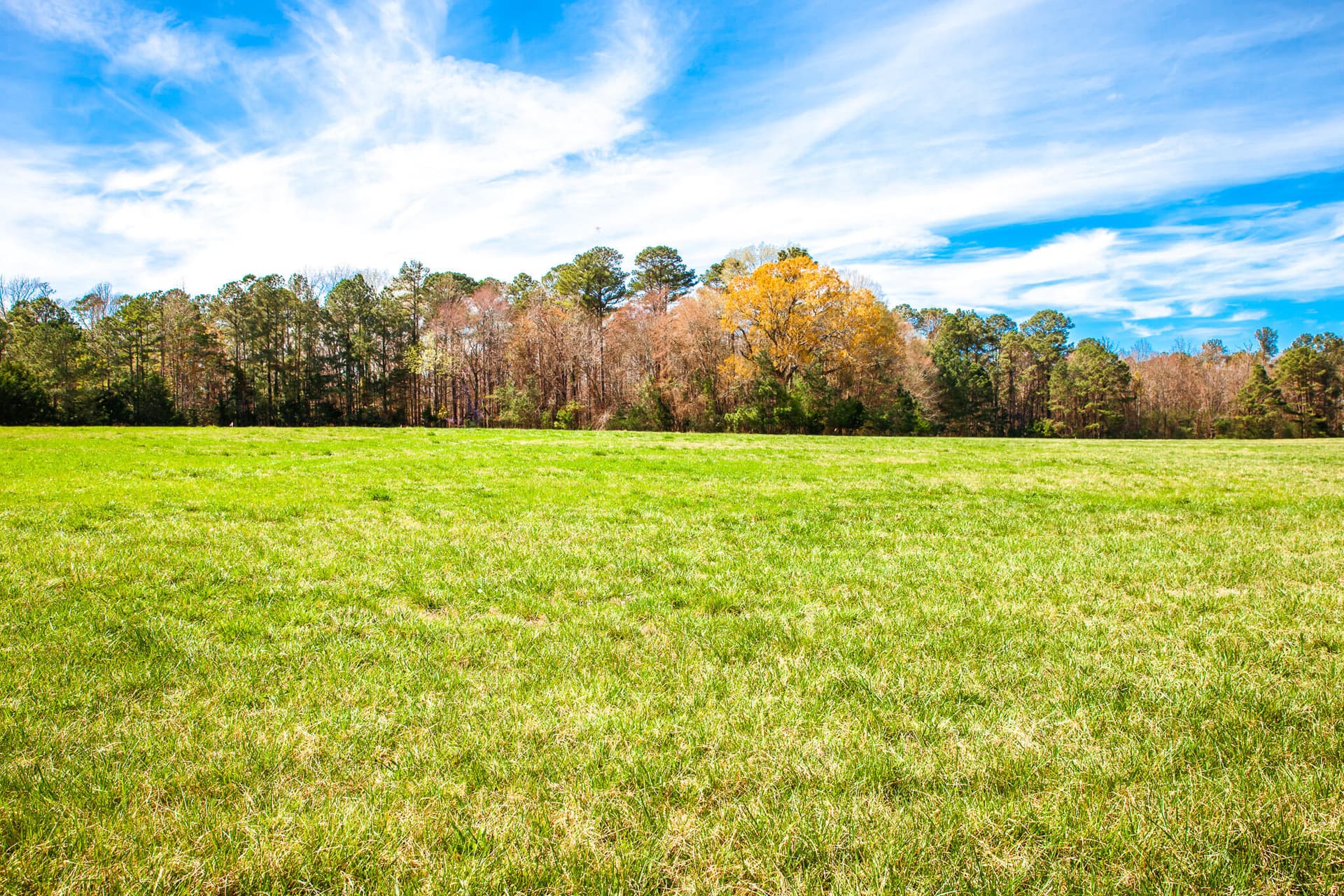 3530 2 Mistletoe Road, Appling, GA 30802