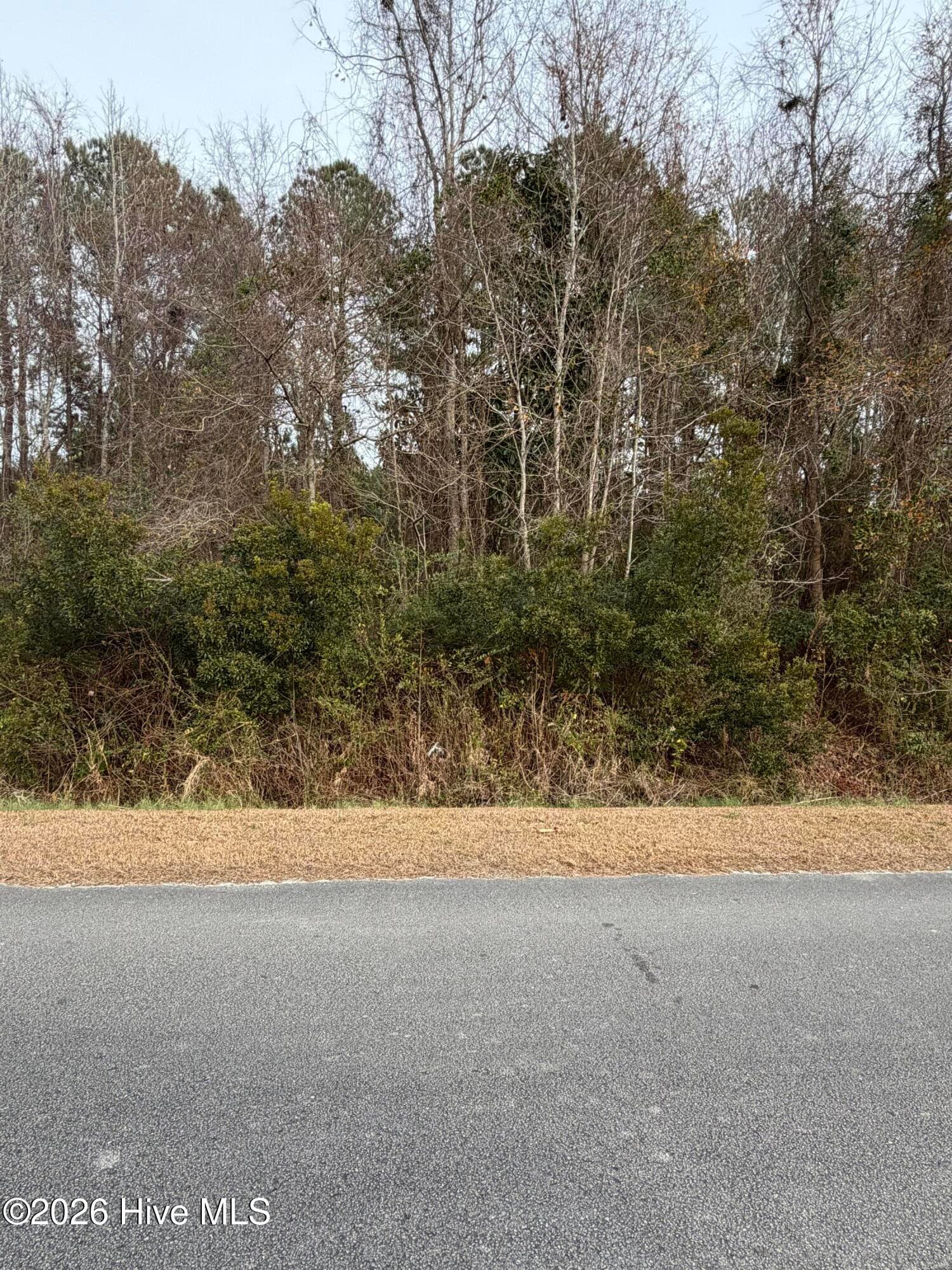 0 5 Joans Haven Drive, Newport, NC 28570