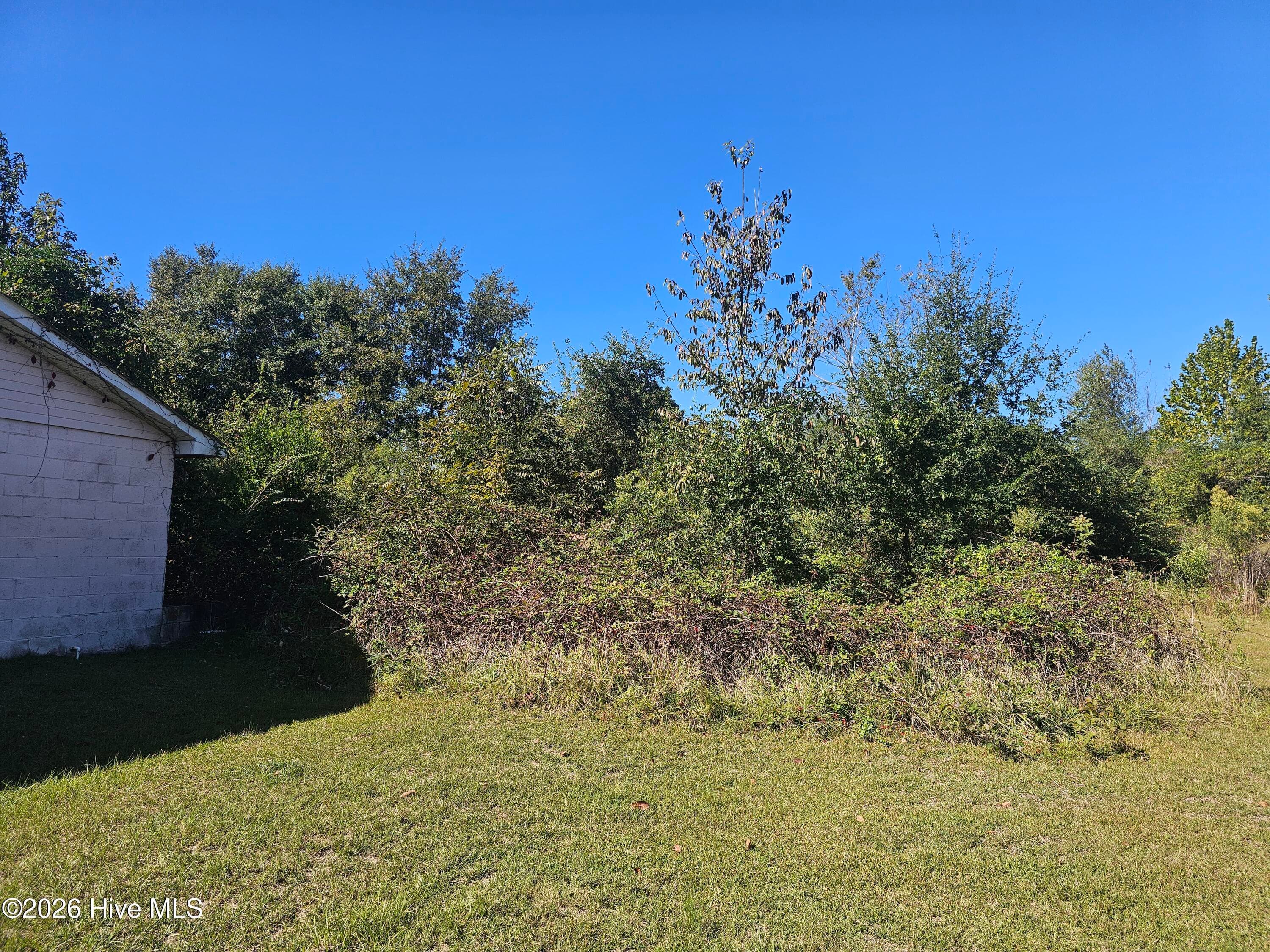 back left - 25 NE Holmes Pond Road, Johnston, SC 29832