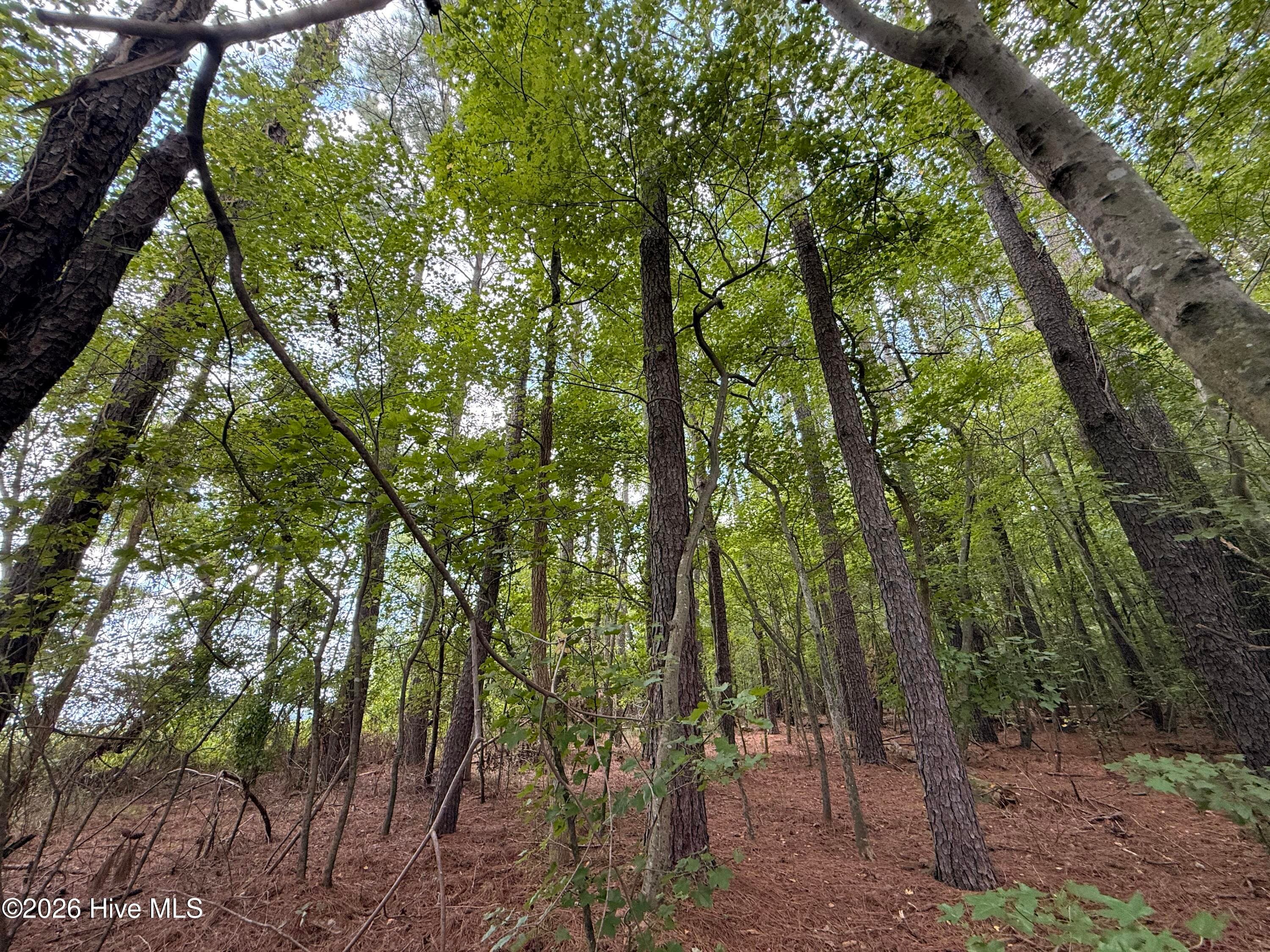 Residential Lot at Lot 2b Holland Road, Greenville, NC 27834, photo 3 of 5