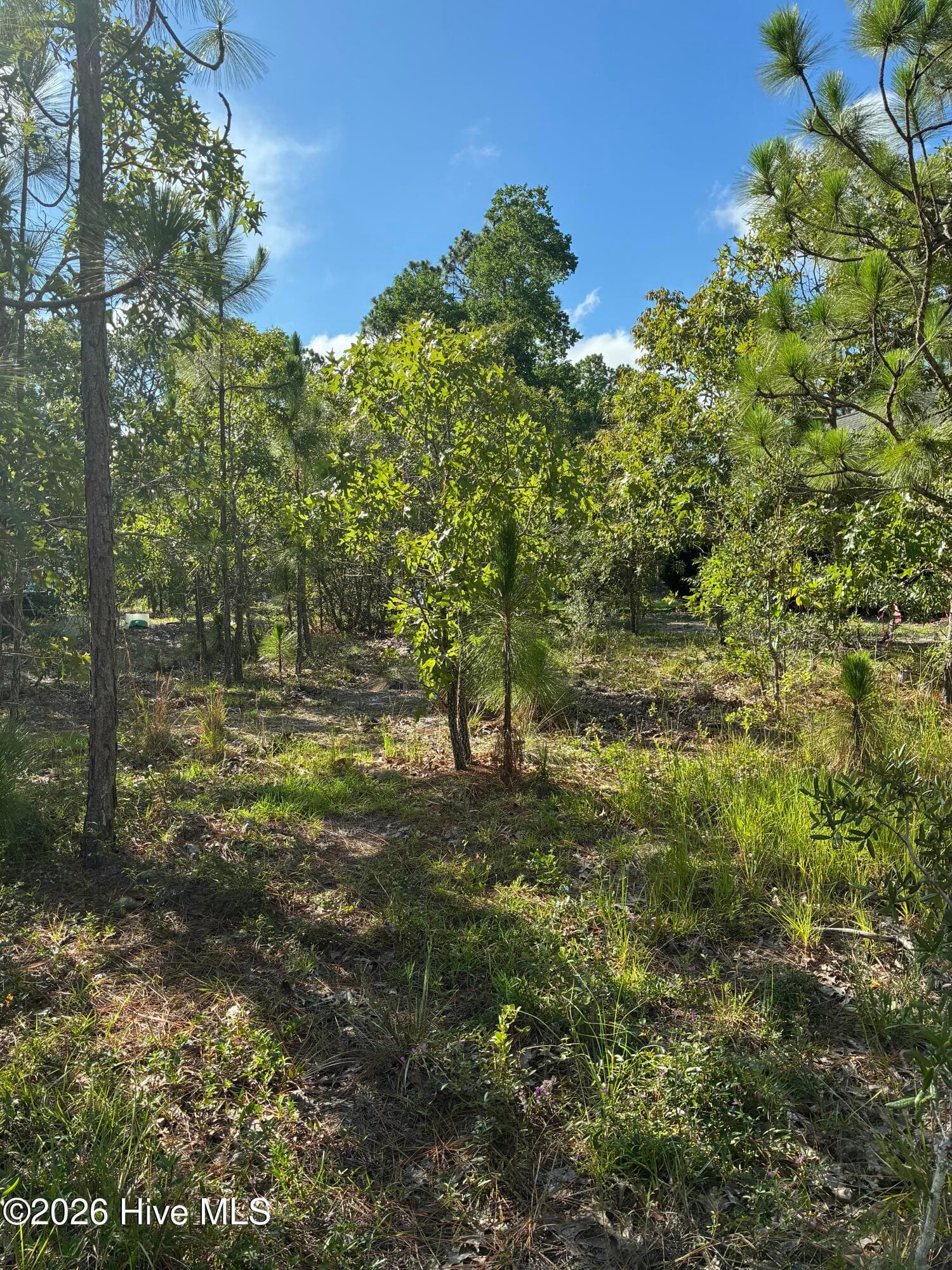 98 L-90 Fairway Drive, Southport, NC 28461
