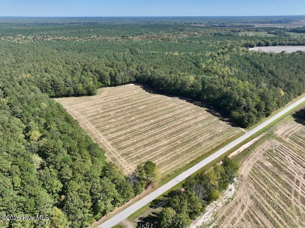 Mixed Use at 0 Spring Hill Road, Scotland Neck, NC 27874, photo 10 of 93