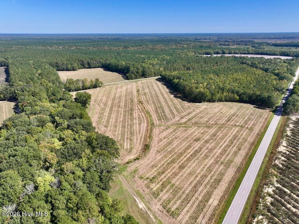 Mixed Use at 0 Spring Hill Road, Scotland Neck, NC 27874, photo 27 of 93