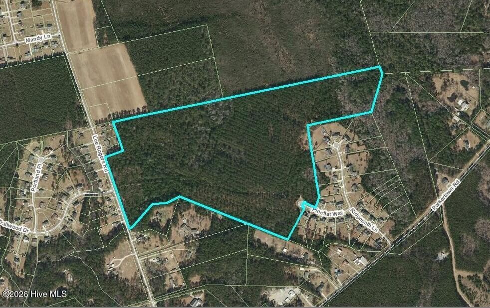 Undeveloped at 00 Lee Rogers Road, Hubert, NC 28539, photo 4 of 4