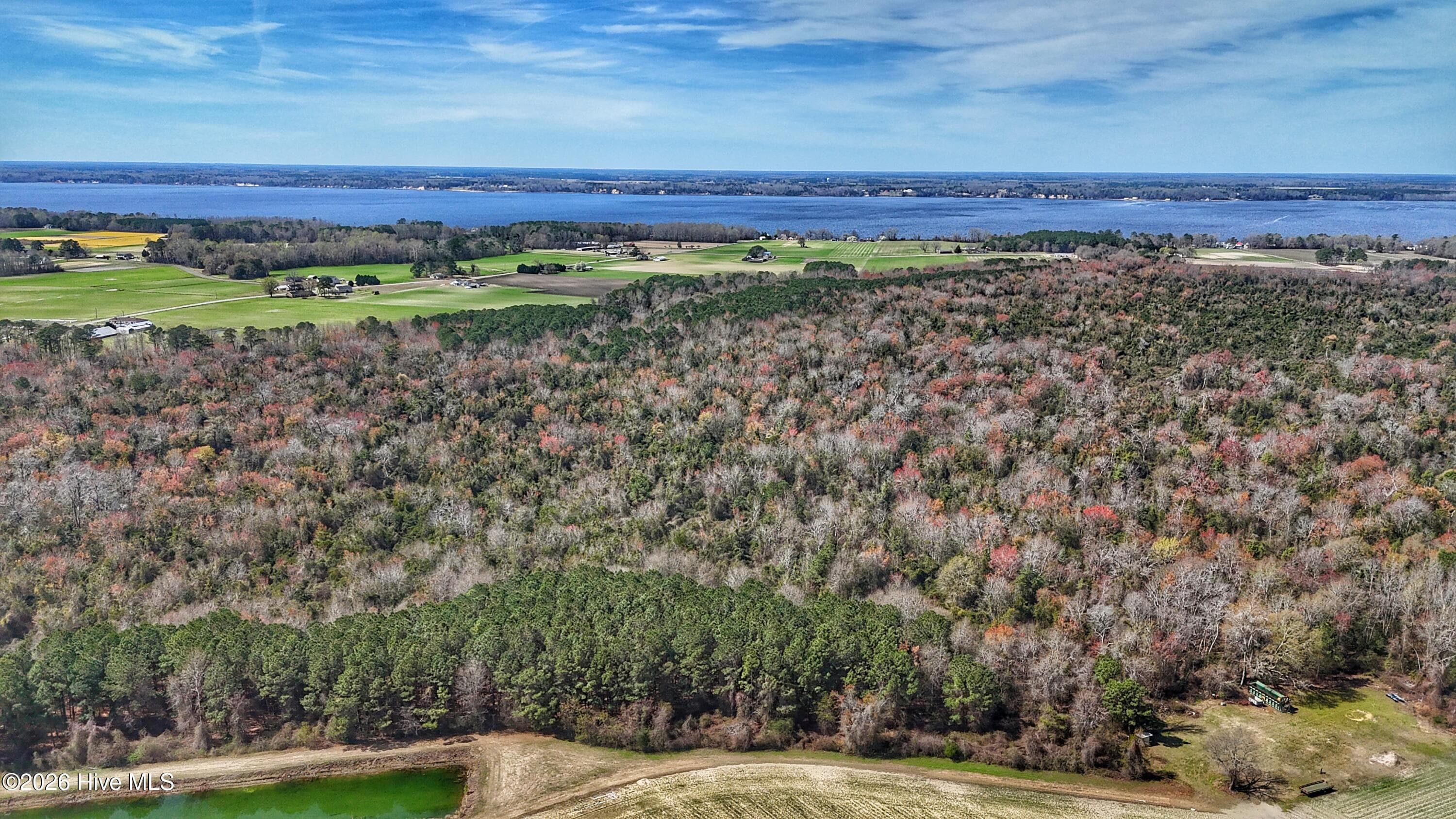 Wooded at 1612 Rocky Hock Landing Road, Edenton, NC 27932, photo 11 of 45