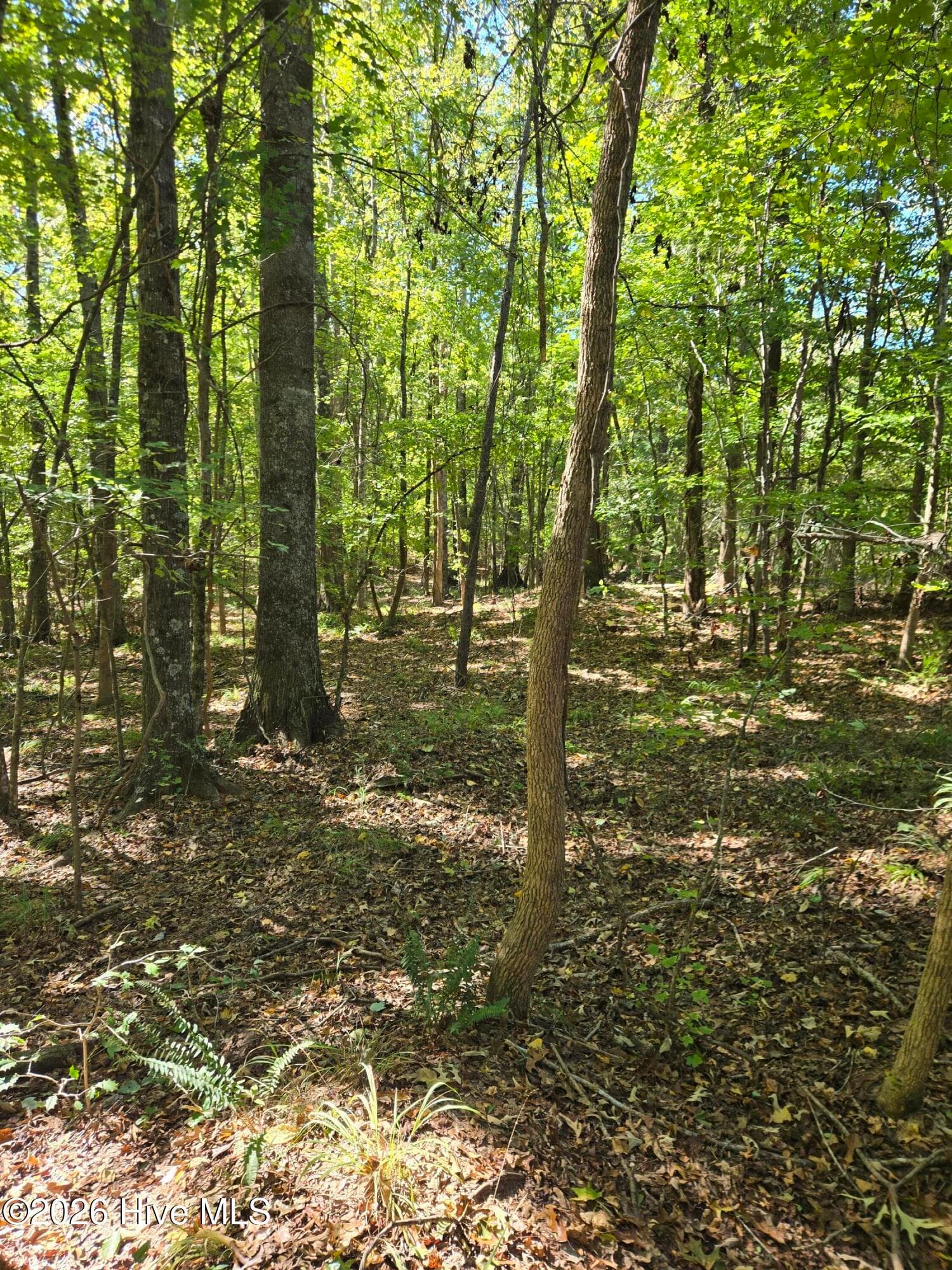 Residential Lot at 2776 Crook Road, Lincolnton, GA 30817, photo 23 of 23