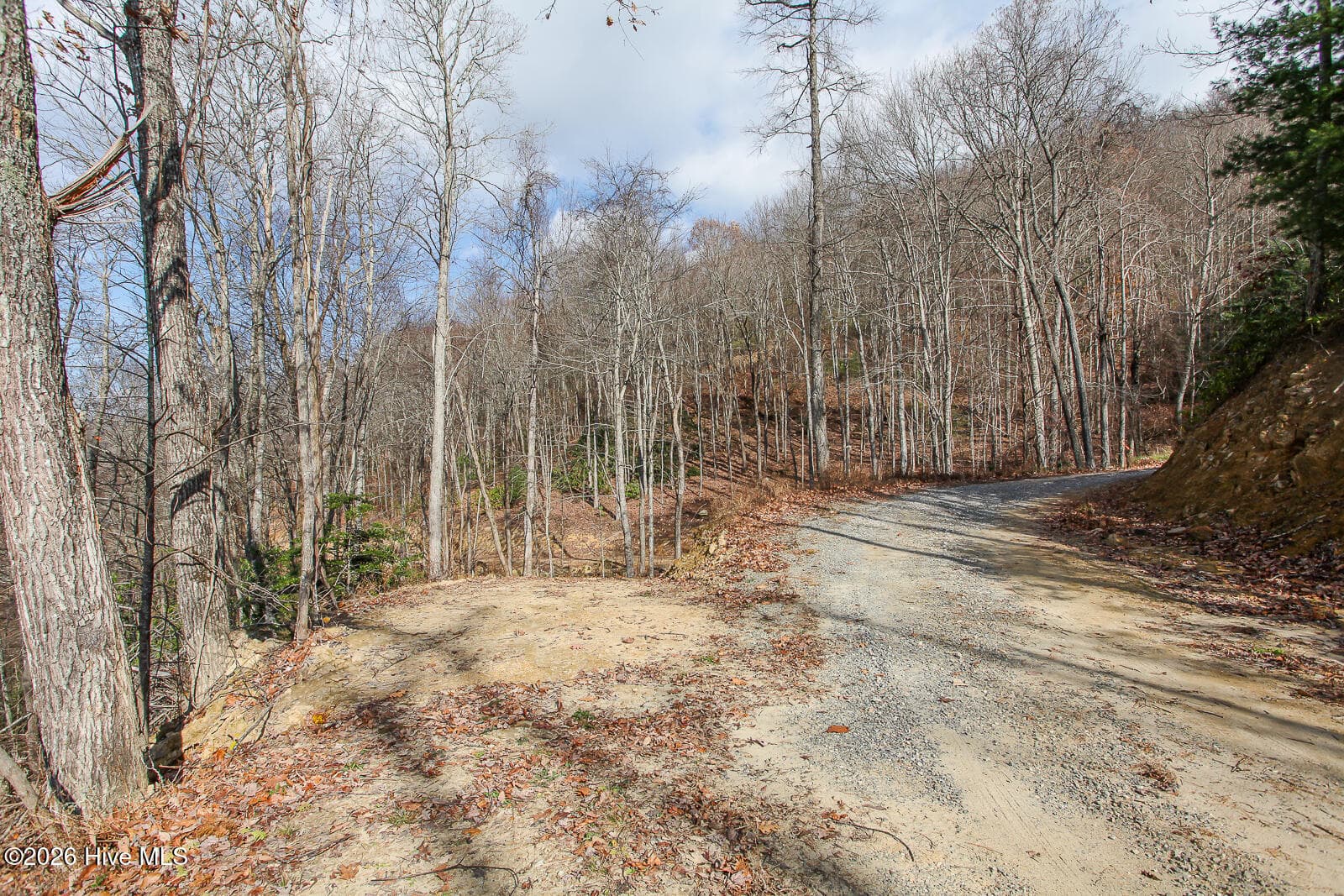 Undeveloped at Lot 20 Walnut Cove Branch, Robbinsville, NC 28771, photo 13 of 31