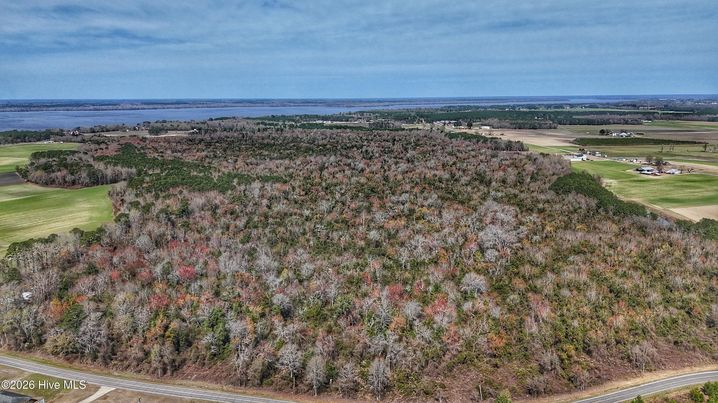Wooded at 1612 Rocky Hock Landing Road, Edenton, NC 27932, photo 33 of 45