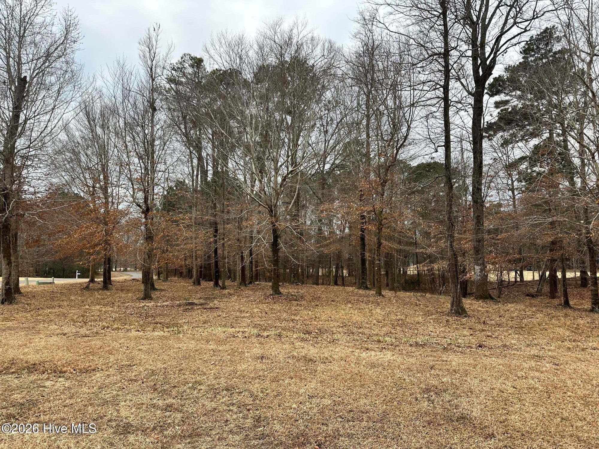 Residential Lot at 173 S-13 Roanoke Drive, Hertford, NC 27944, photo 4 of 4