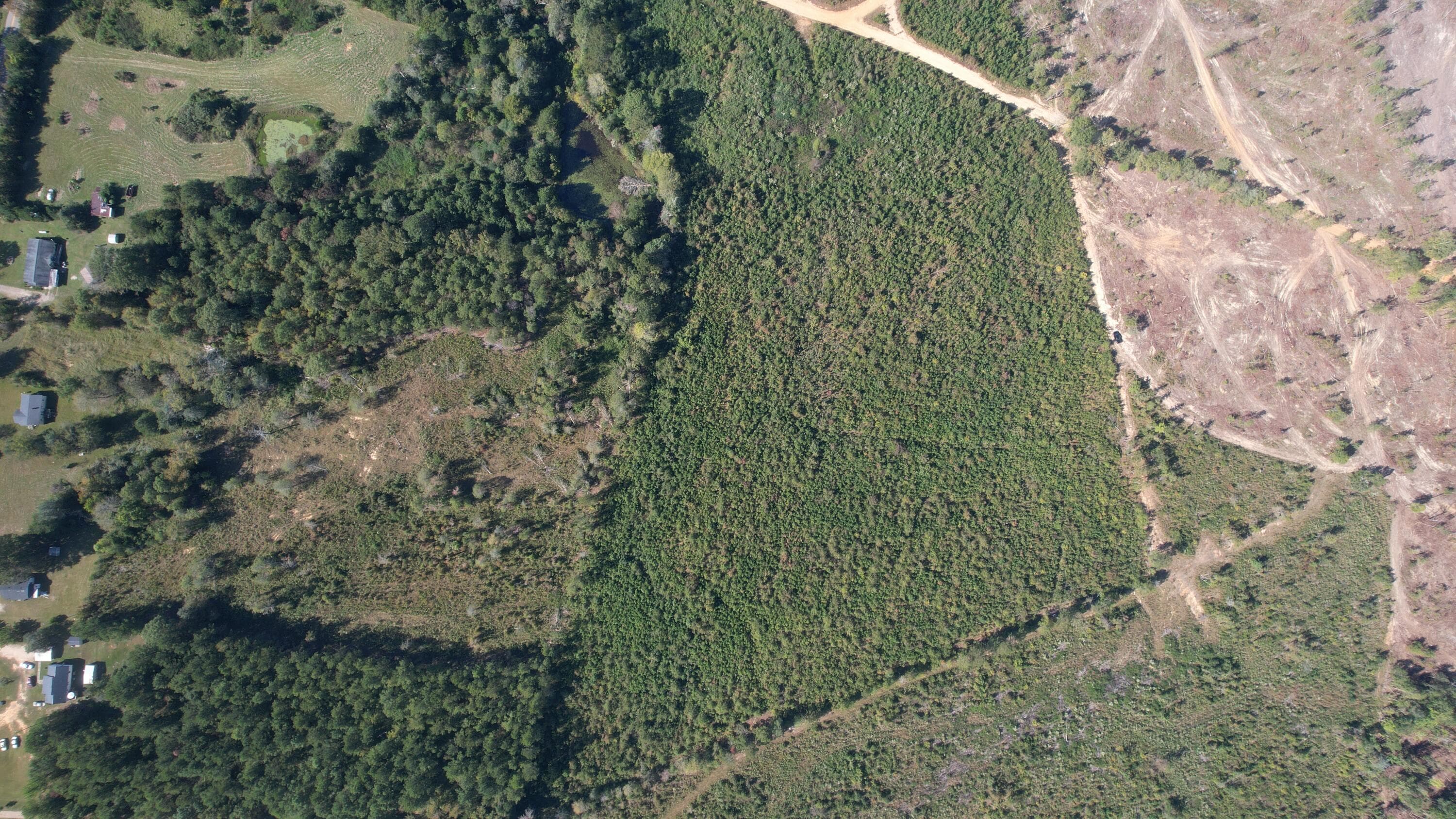 Agriculture at 00 Moores Drive, Edgefield, SC 29824, photo 9 of 14