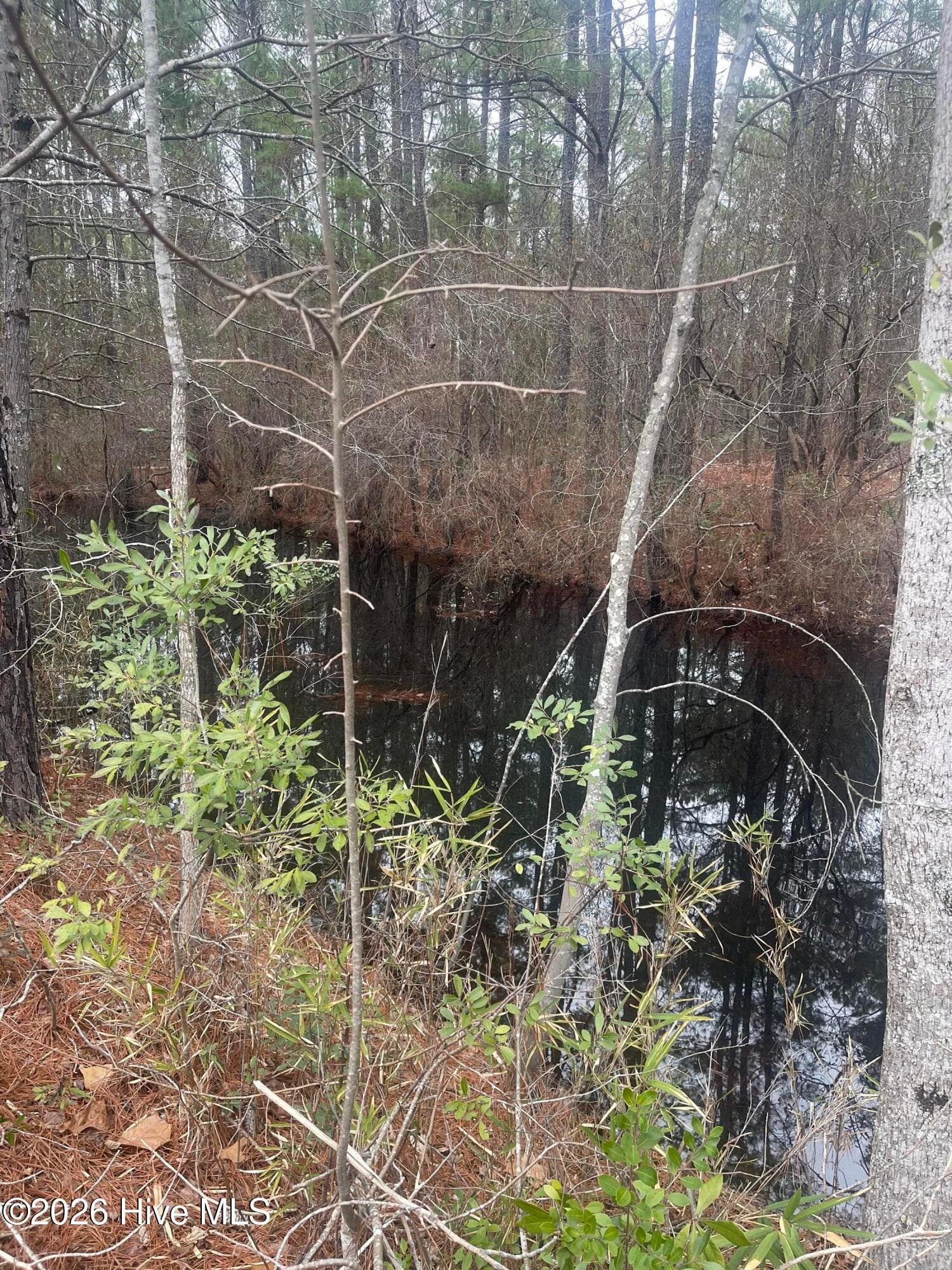 Wooded at Lot 6 & 7 Bumpy Lane, Sanford, NC 27332, photo 2 of 7