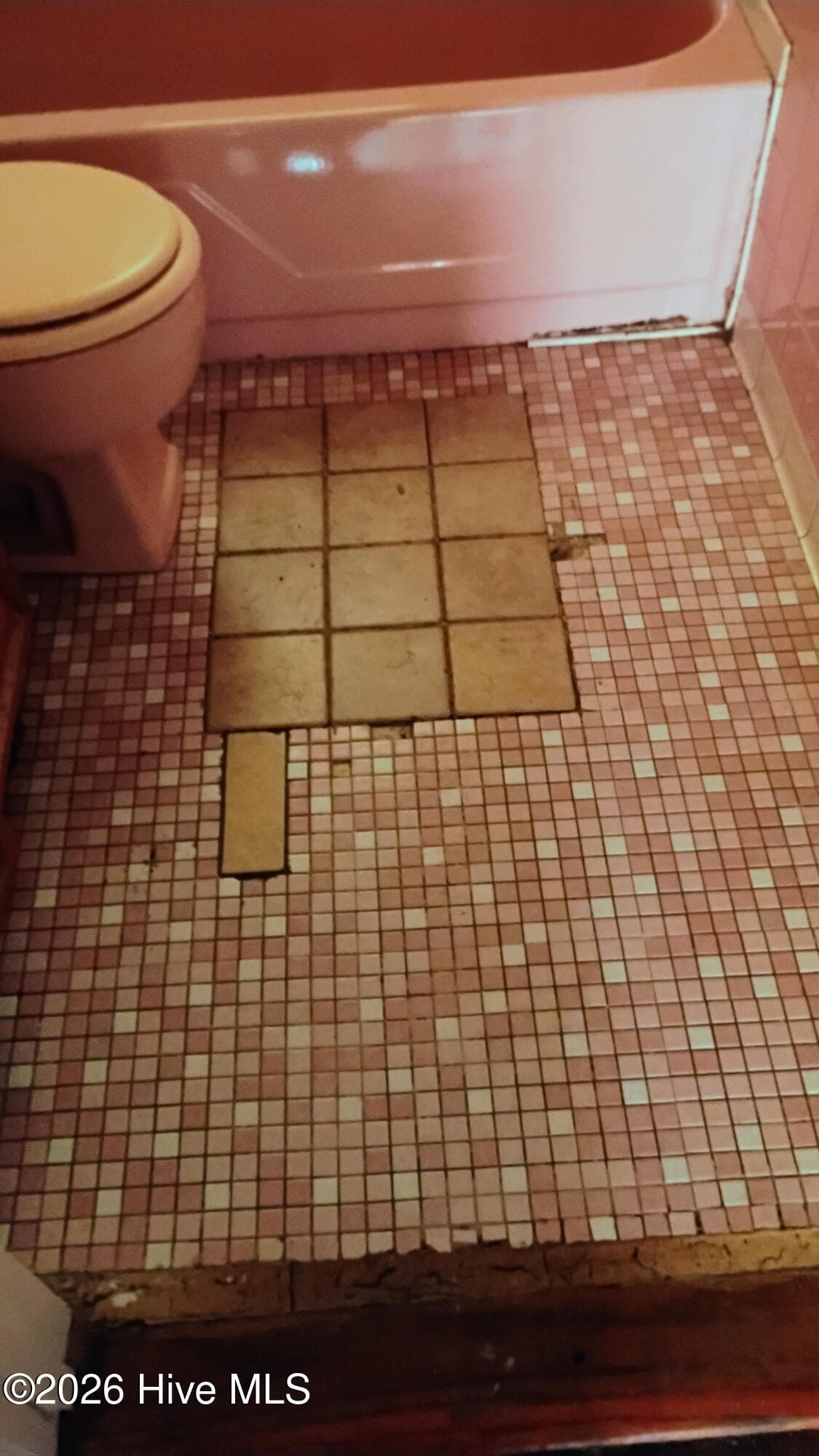 Bathroom floor - 264 Japonica Avenue, Augusta, GA 30901