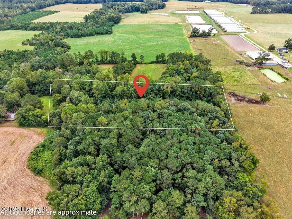 Undeveloped at 0 Dewitt Gooden Road, Elizabethtown, NC 28337, photo 2 of 8