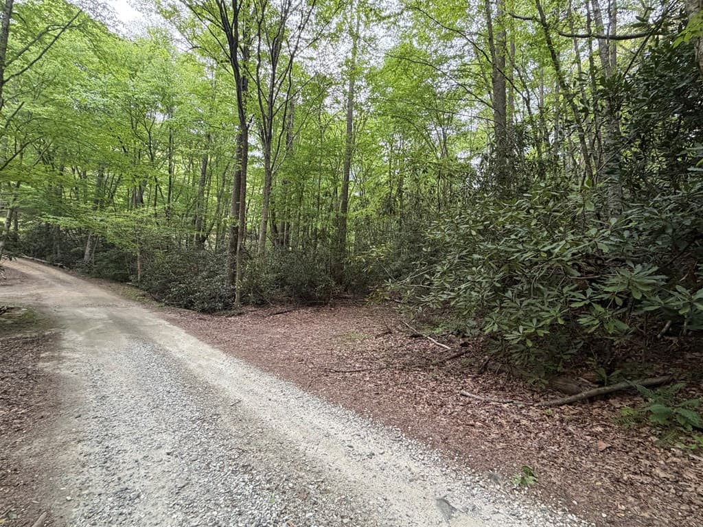 Residential Lot at Lots 9&17 9&17 Warrior Way, Andrews, NC 28901, photo 6 of 10