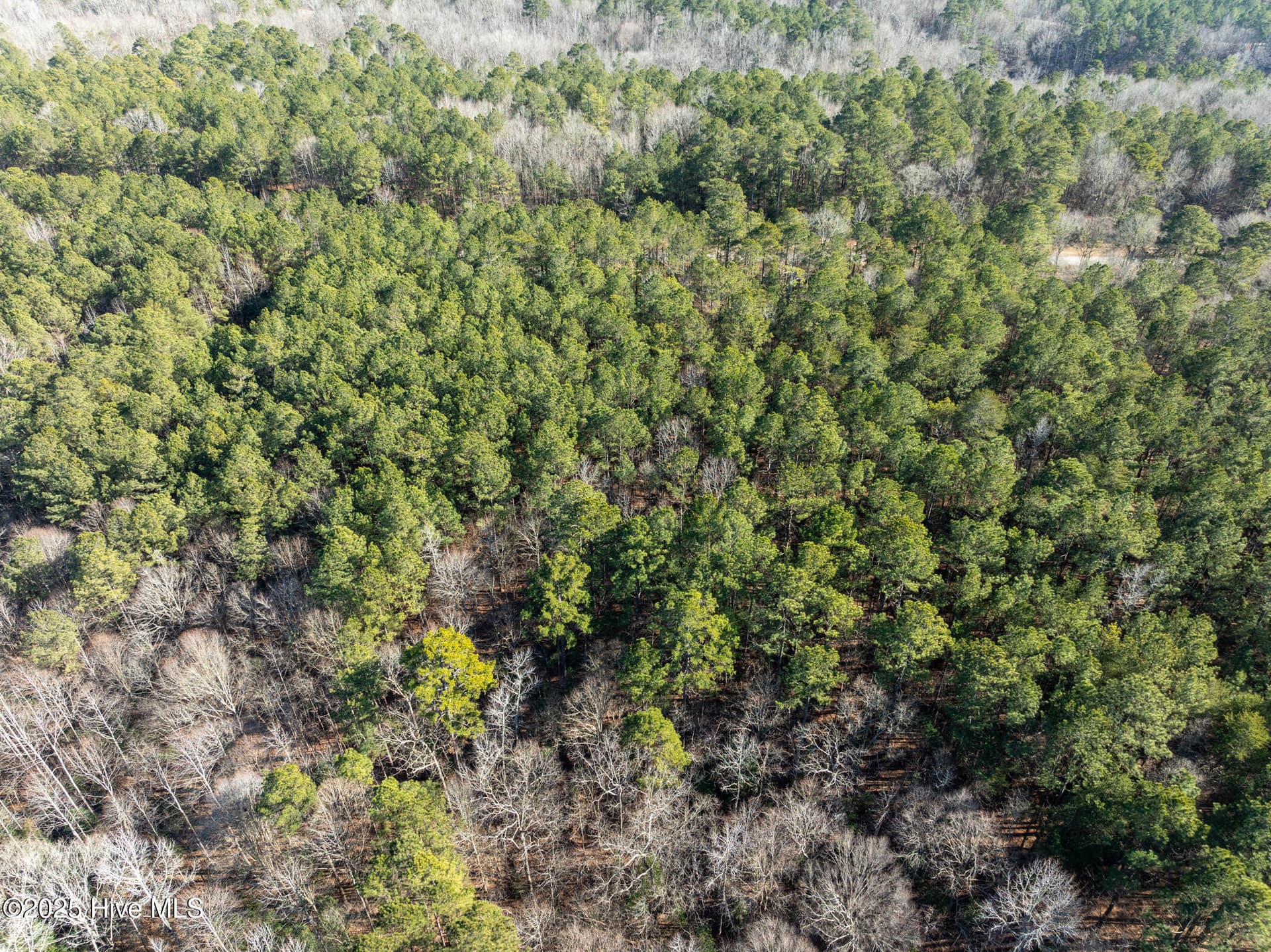 Residential Lot at 141 N State Lane, Rockingham, NC 28379, photo 10 of 17