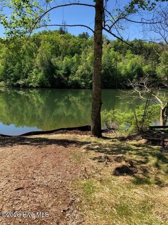 Residential Lot at Lot 7 7 Santeetlah Ridge, Robbinsville, NC 28771, photo 6 of 10