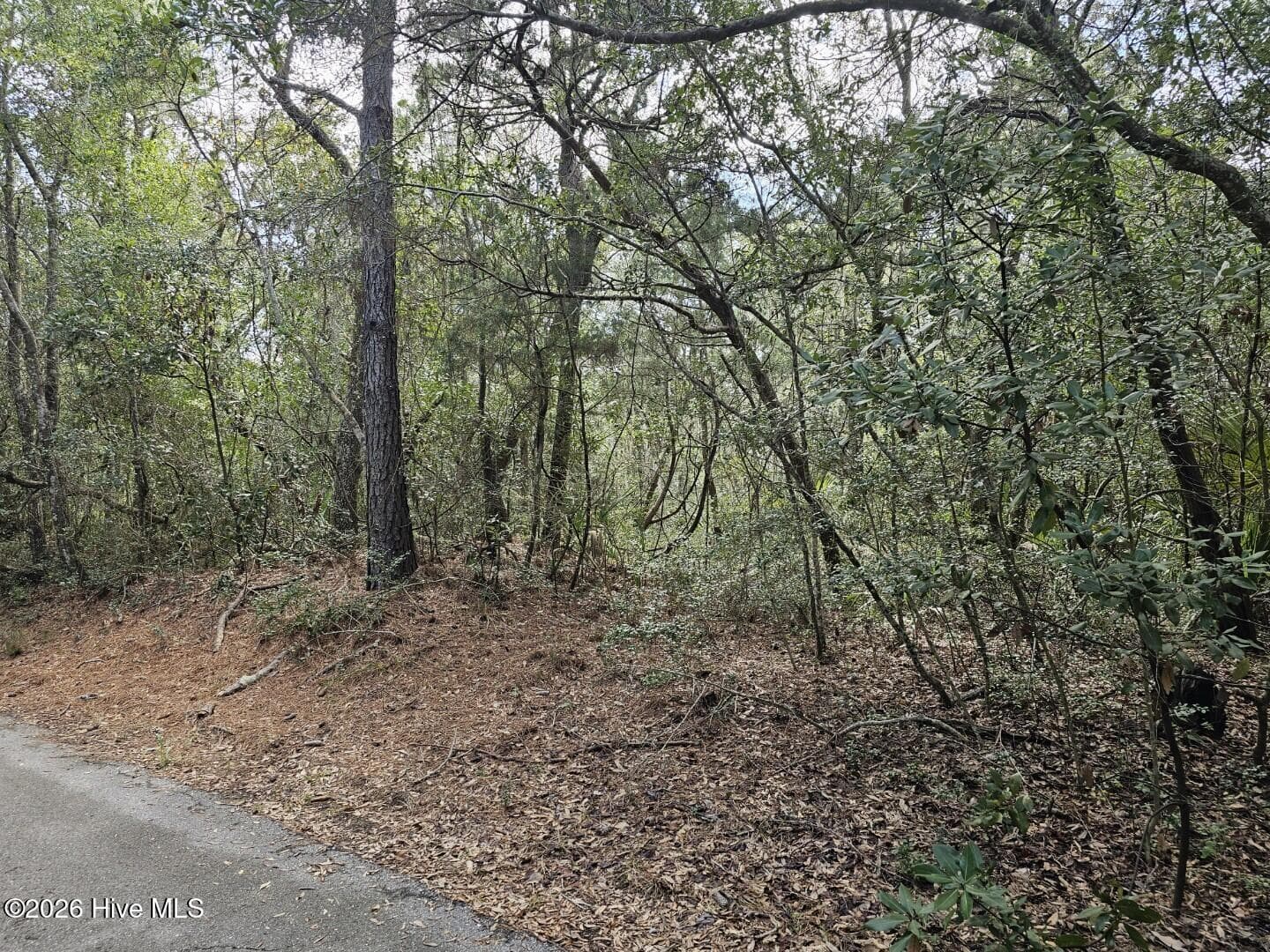 5 Musket Court, Bald Head Island, NC 28461