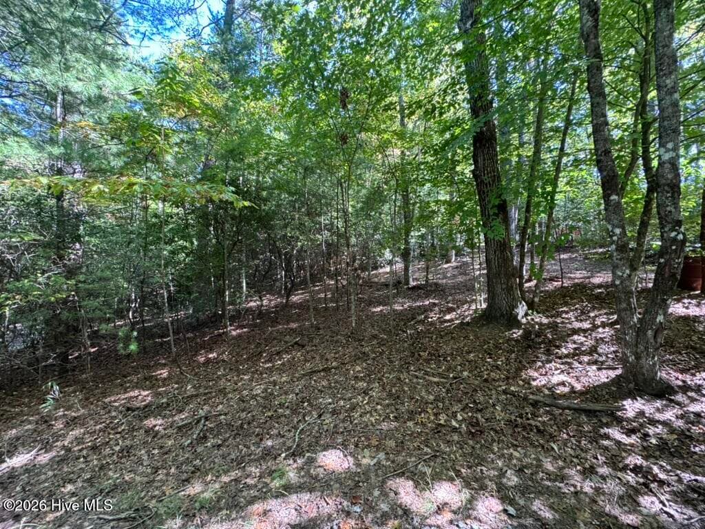 Residential Lot at Lot 1 1 Laurelwood Circle, Murphy, NC 28906, photo 16 of 24