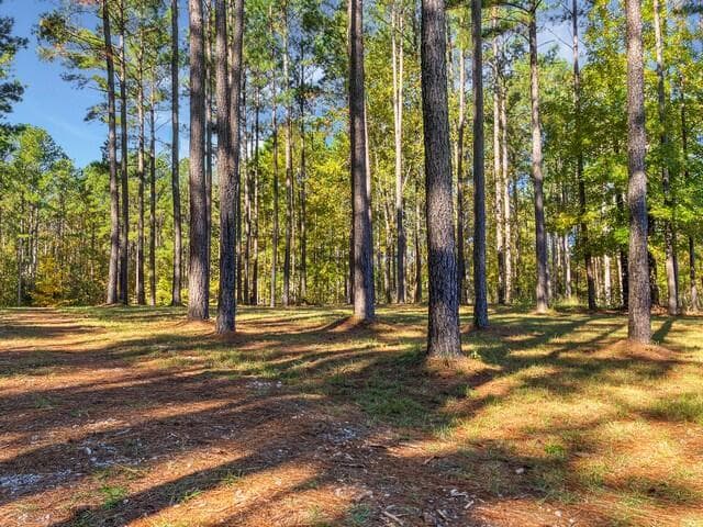 Residential Lot at 18 S Pointe Cove, Lincolnton, GA 30817, photo 10 of 15