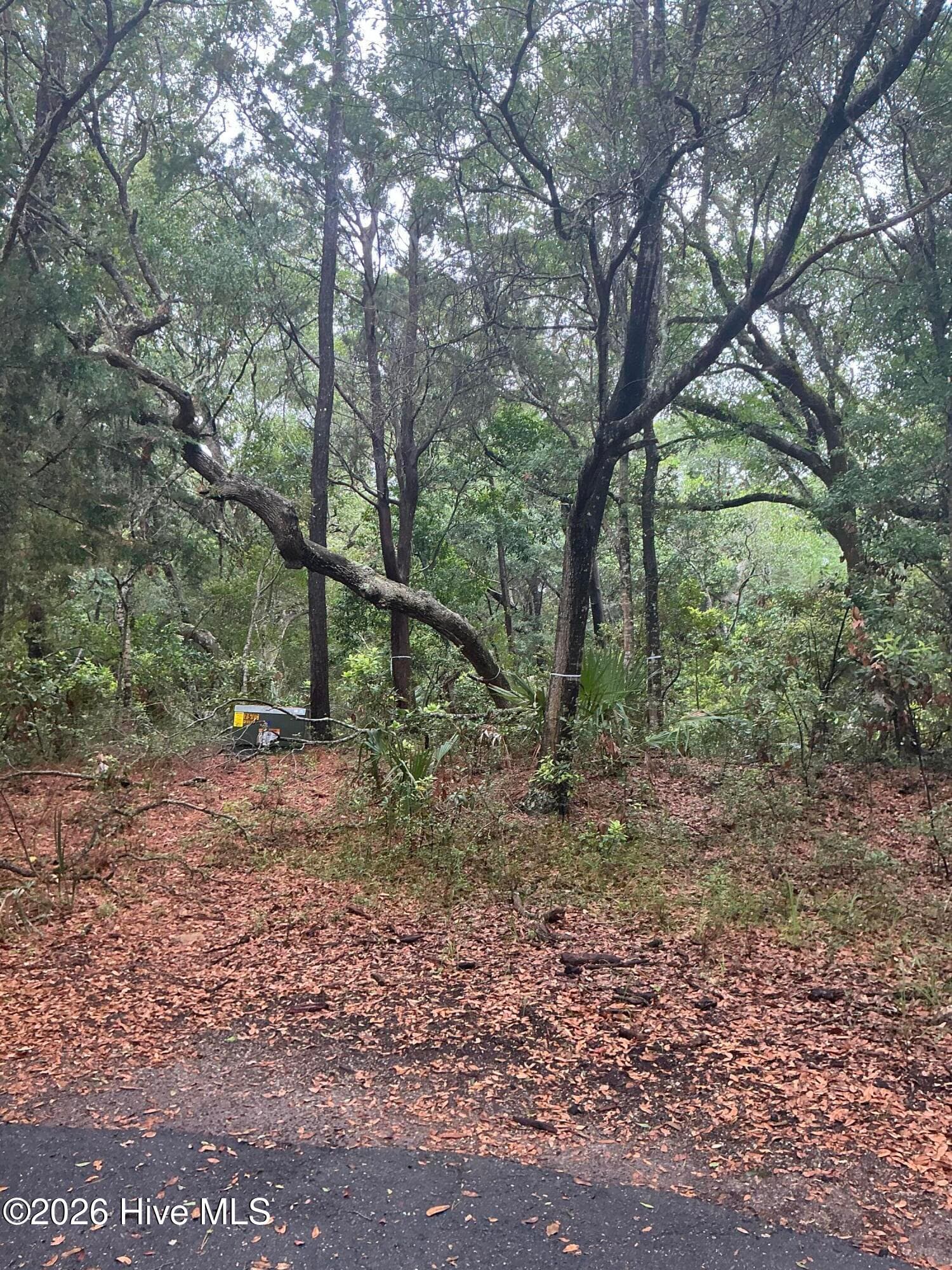 Residential Lot at 8 18 Leopard Frog Court, Bald Head Island, NC 28461, photo 5 of 8