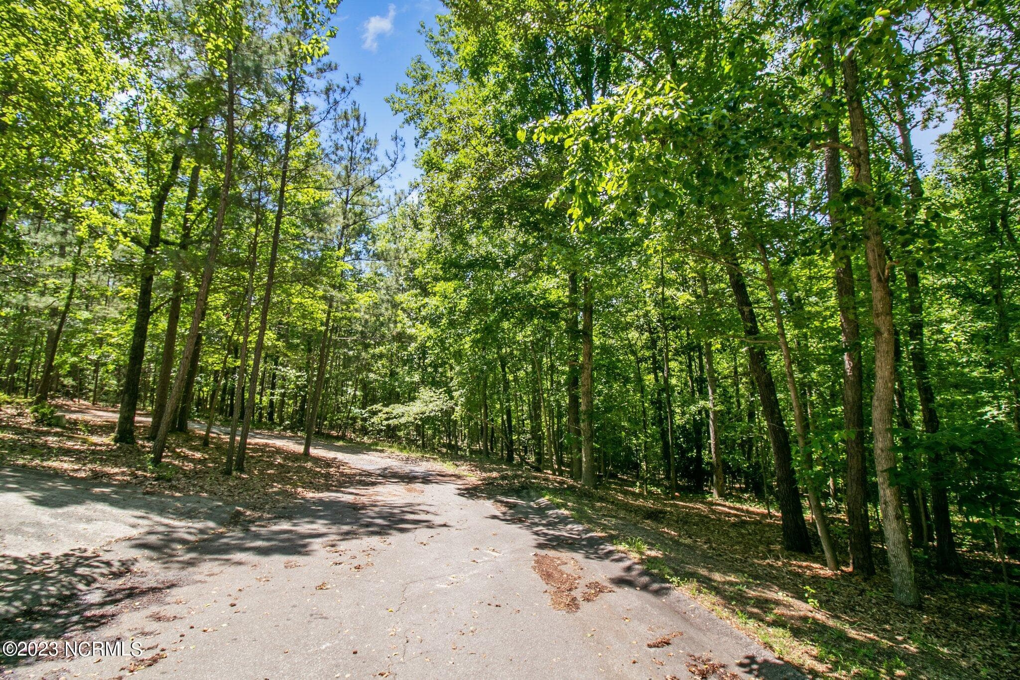 Tbd Buggy Drive W, Carthage, NC 28327