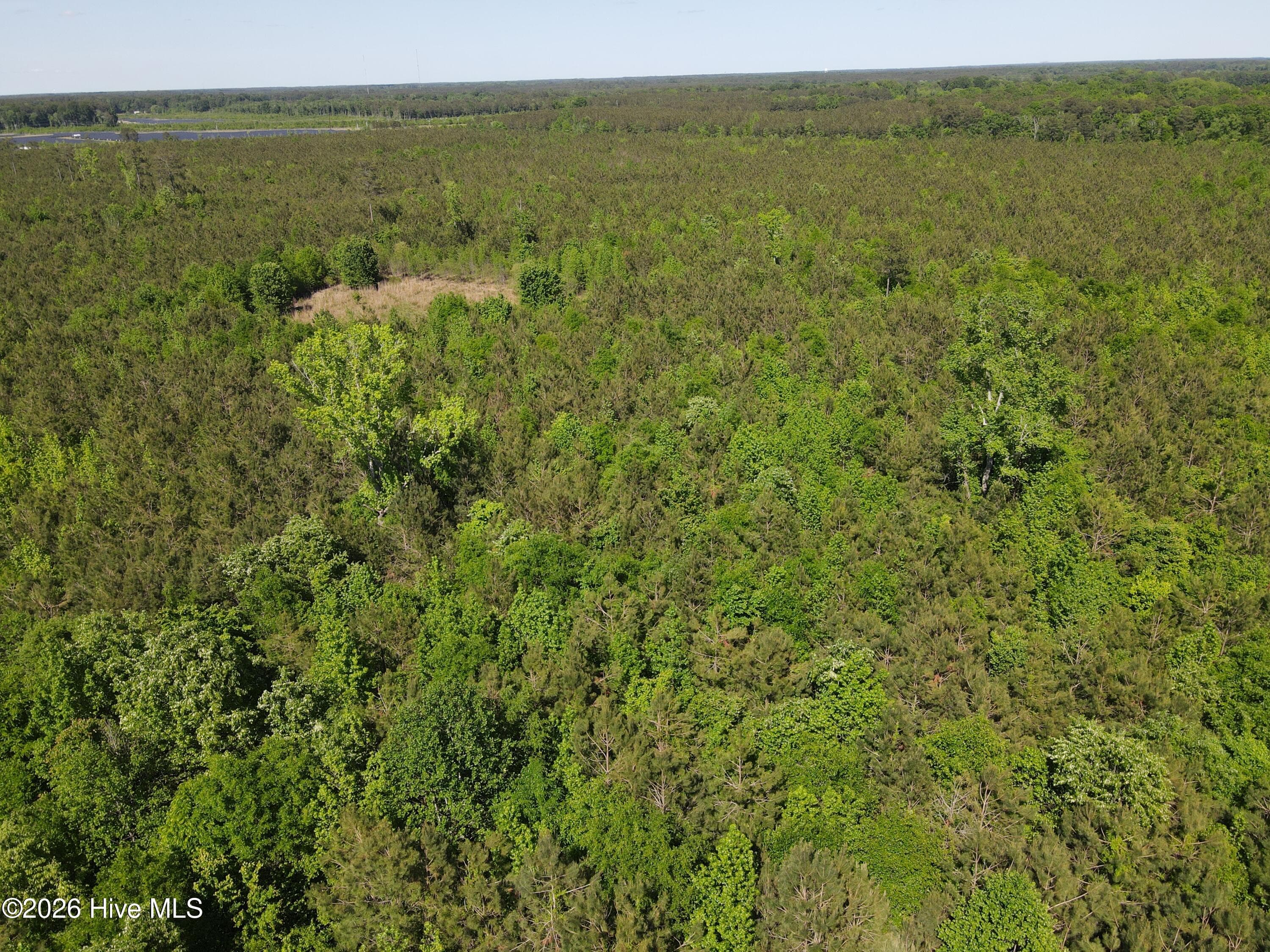 Undeveloped at 0 Colice Hall Lane, Ahoskie, NC 27910, photo 9 of 20