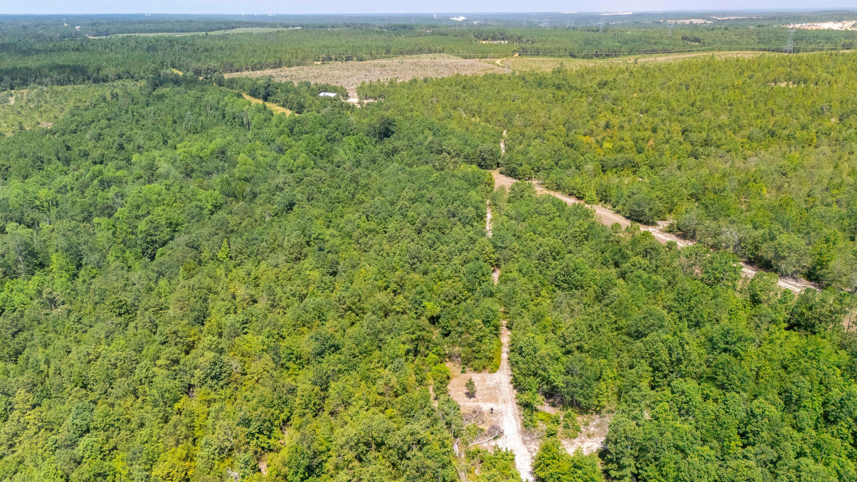 Undeveloped at 2576 Jessie James Pond Road, Wrens, GA 30833, photo 7 of 56