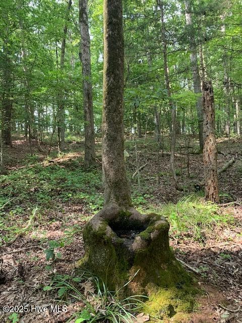 Residential Land at 54 54 Palomino Road, Carthage, NC 28327, photo 16 of 20