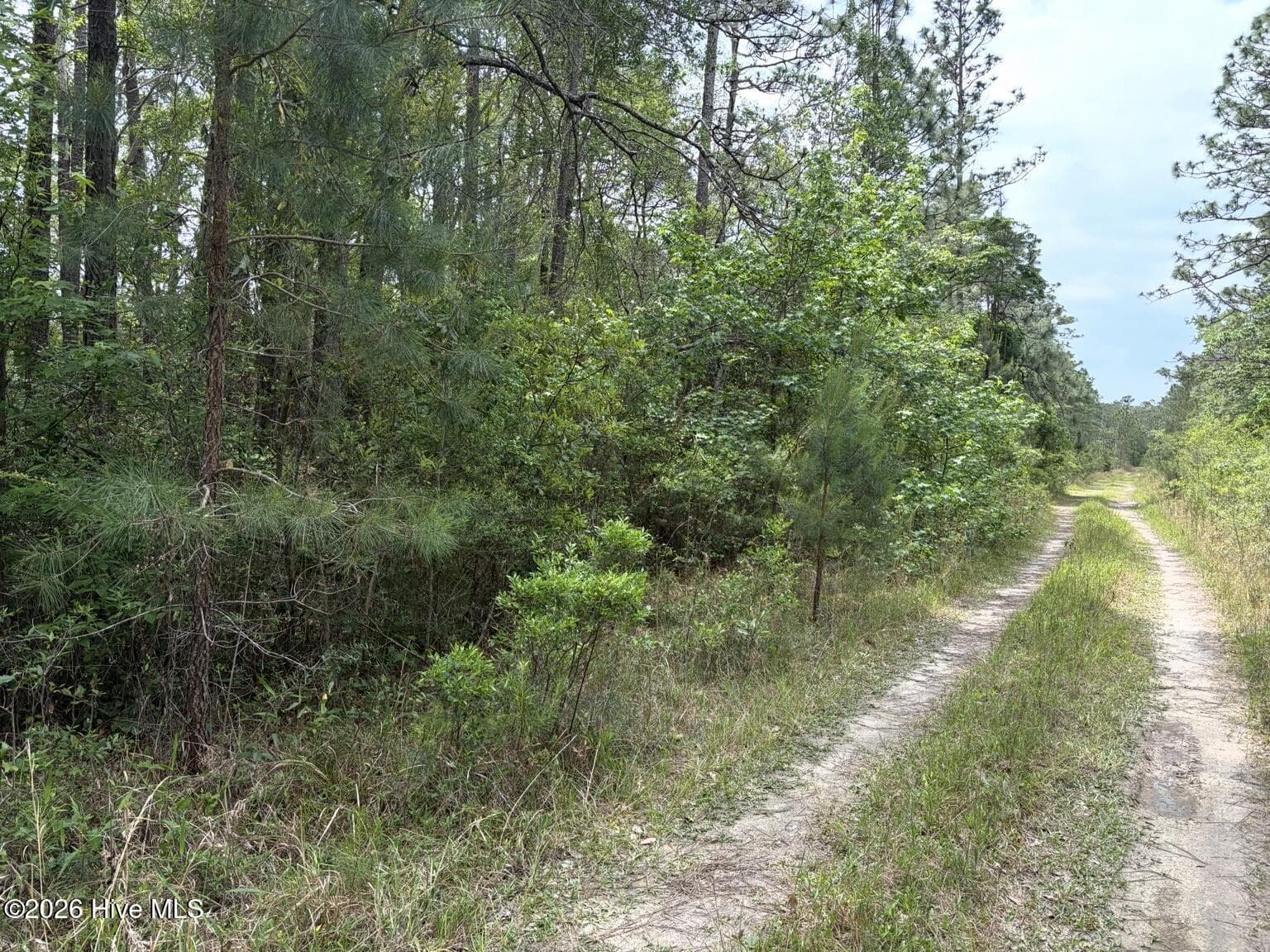 L 113 13 Chimney Swift Lane SE, Southport, NC 28461